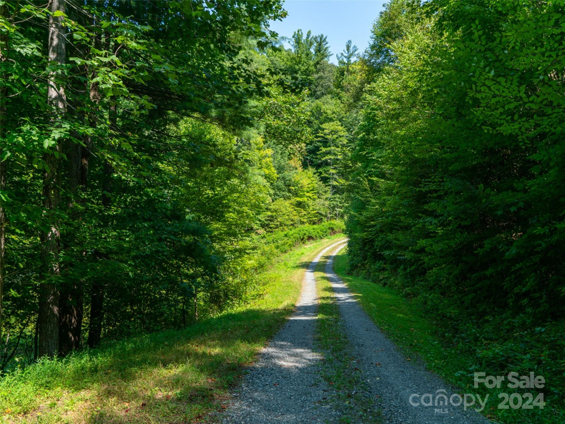 00000 Meadow Fork School Road - Photo 4