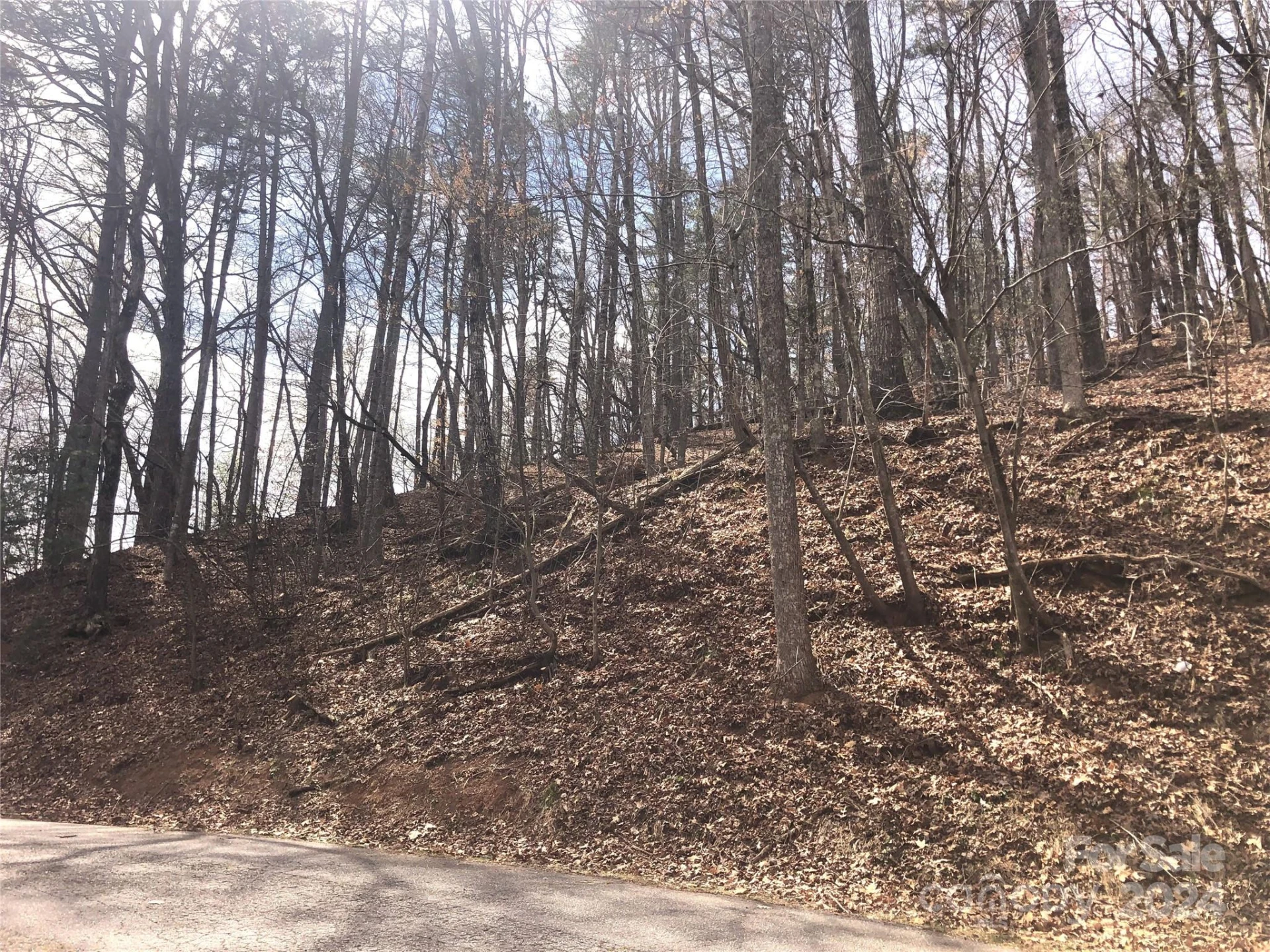 0 Holmes Road - Photo 15