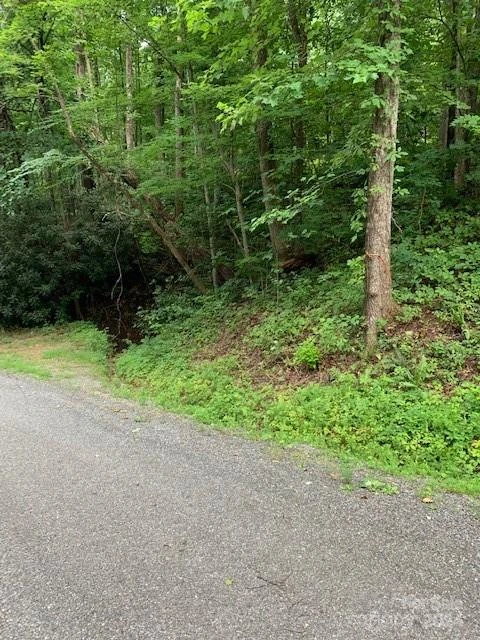 Lot 45-46 Mckenzie Way S #45-46 - Photo 7