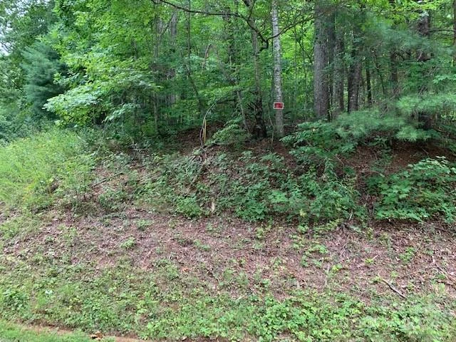 Lot 49-50 Mckenzie Way S - Photo 2