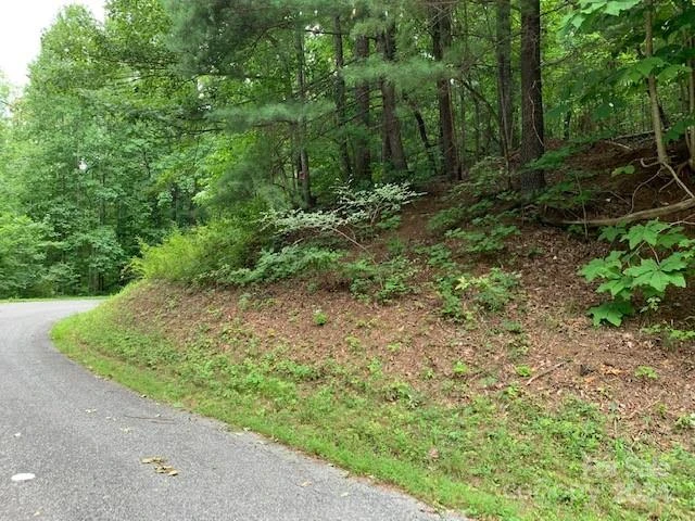 Lot 49-50 Mckenzie Way S - Photo 4