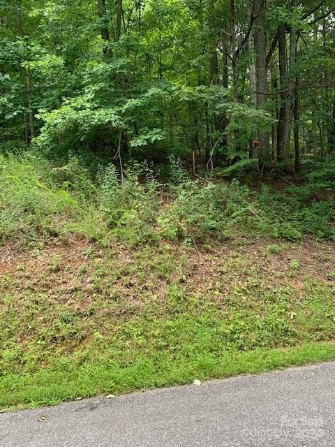 Lot 49-50 Mckenzie Way S - Photo 6