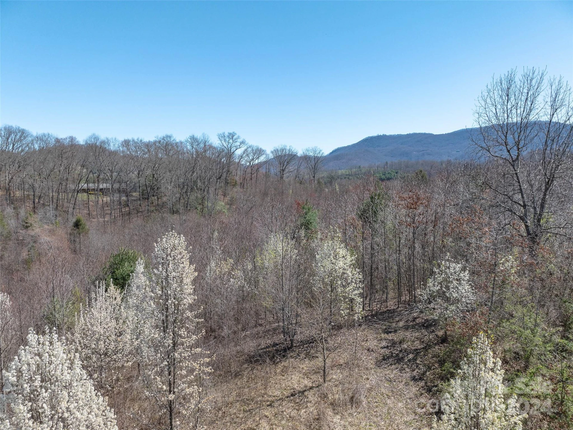 00 Woodland Drive - Photo 14