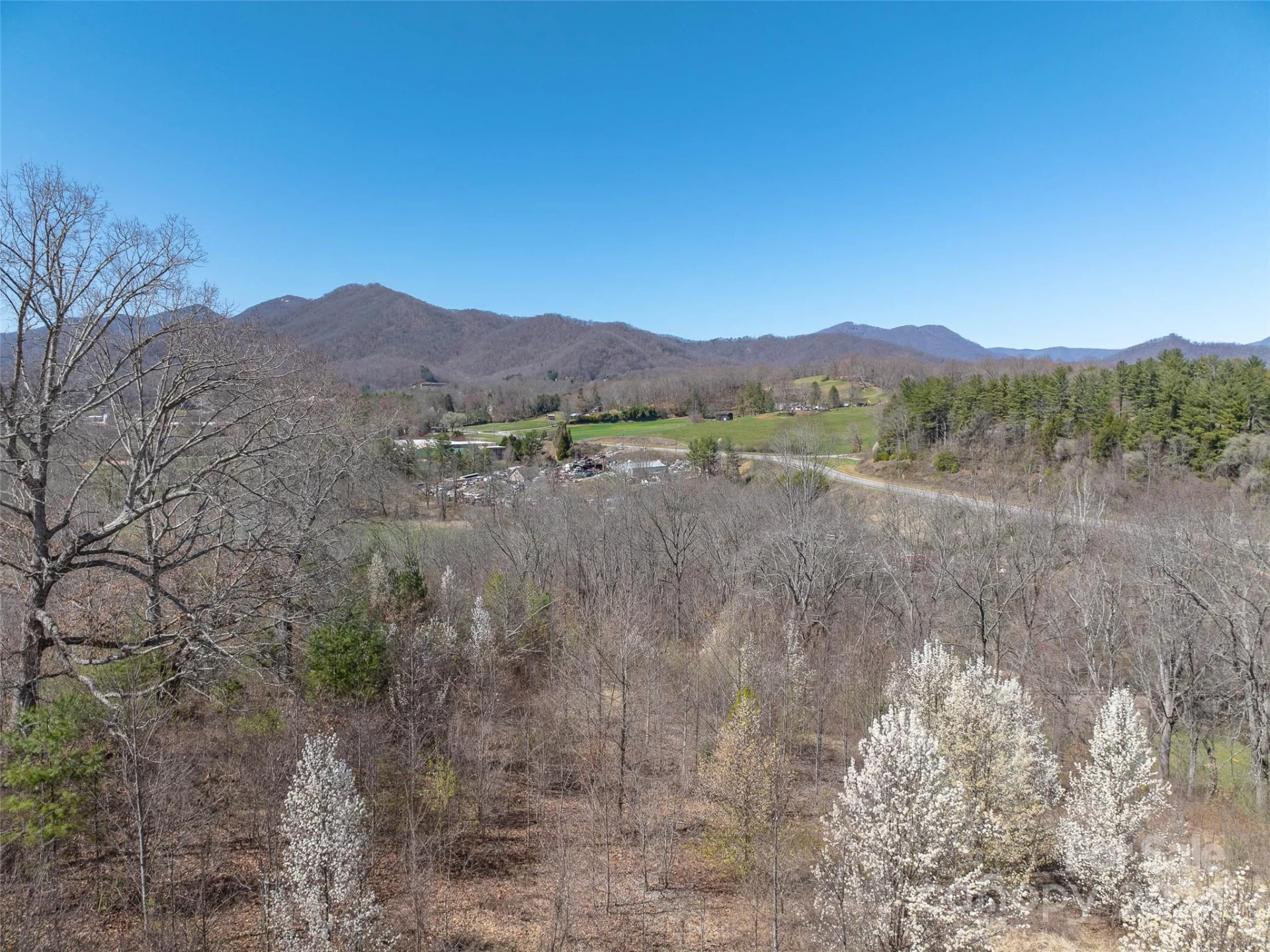 00 Woodland Drive - Photo 5