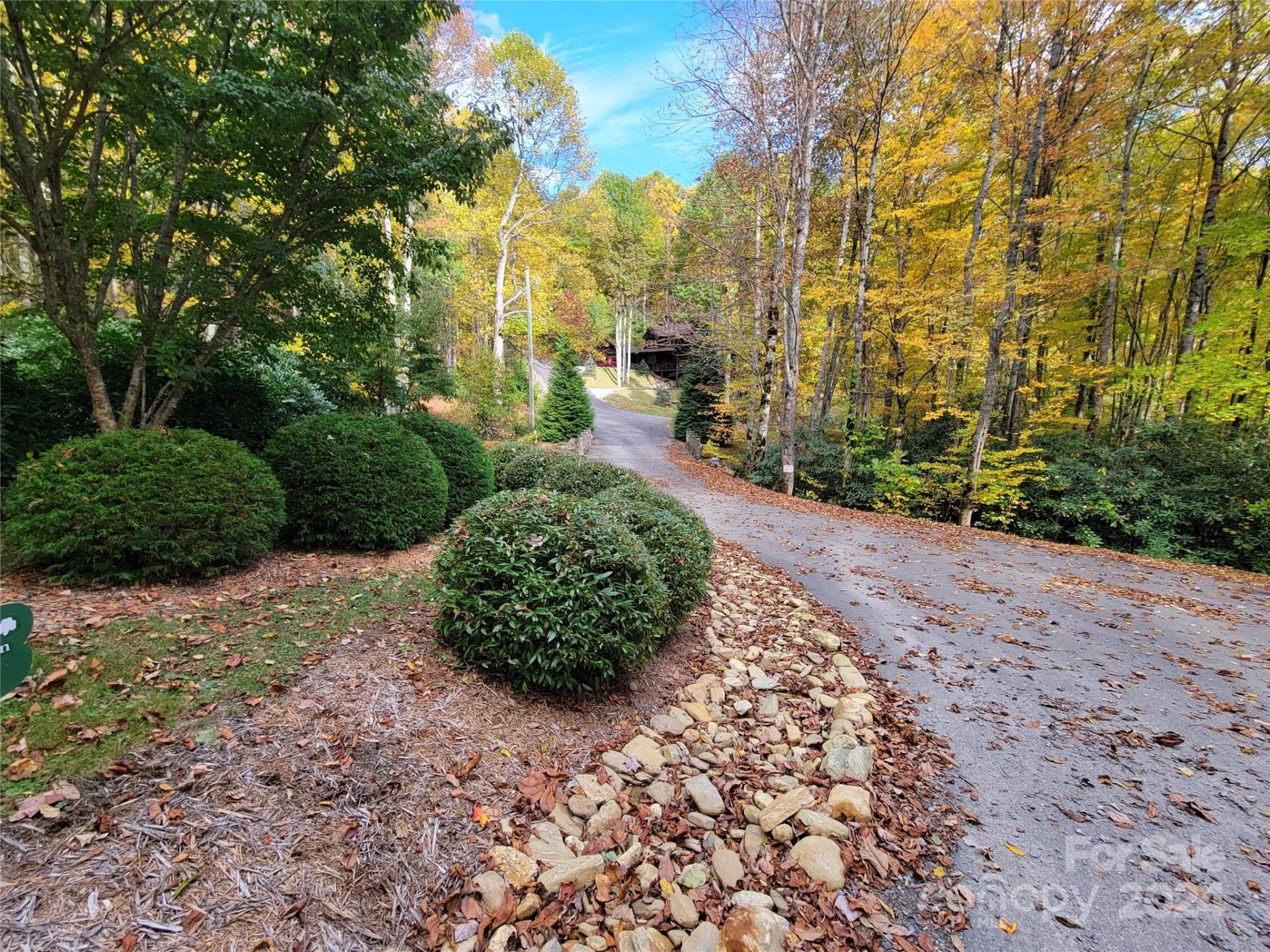 00 Covecrest Lane #10 - Photo 2