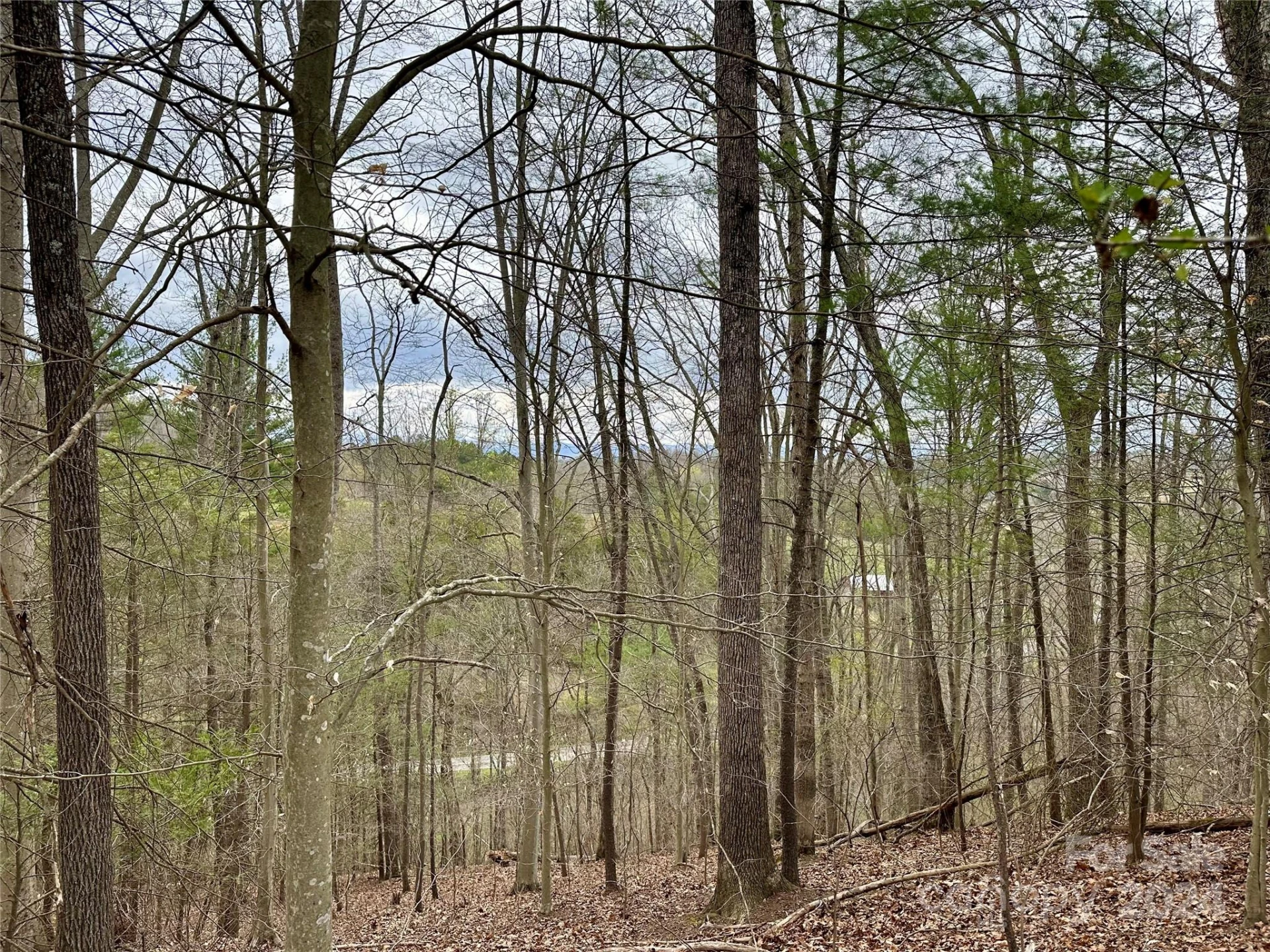 000 Fletcher Martin Road #2 & 3 - Photo 5