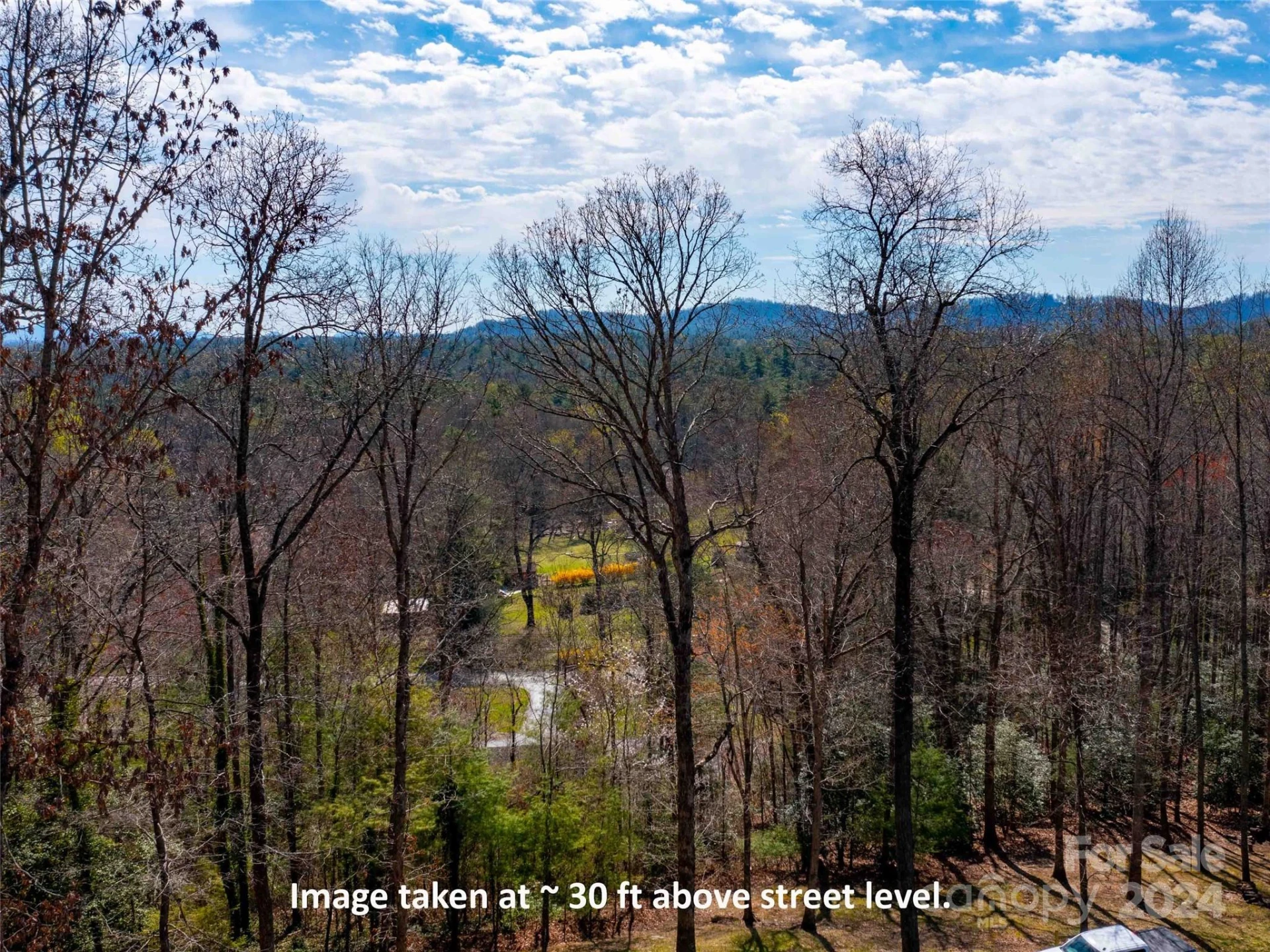 Lot 29 Connemara Overlook Drive - Photo 9
