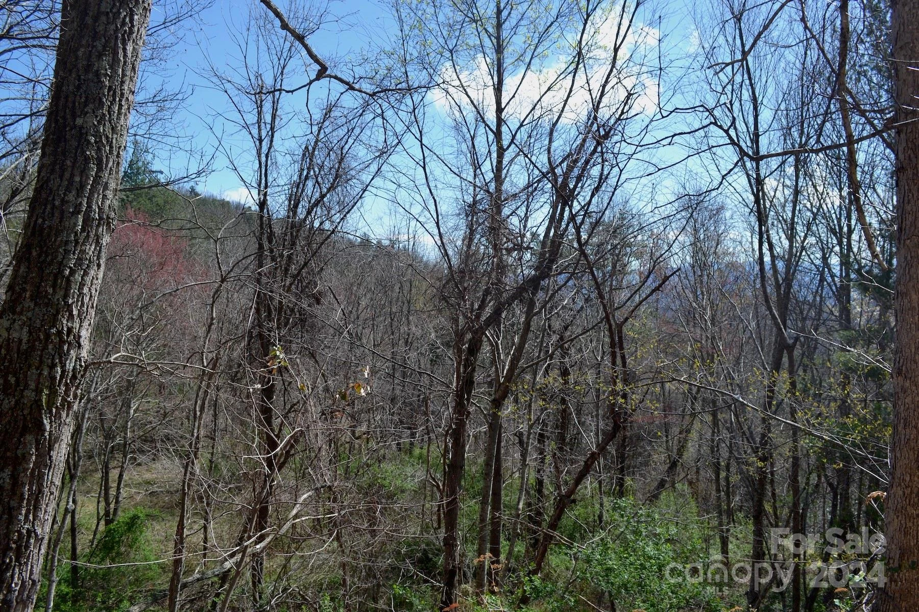 Lot 8 Town Mountain Road