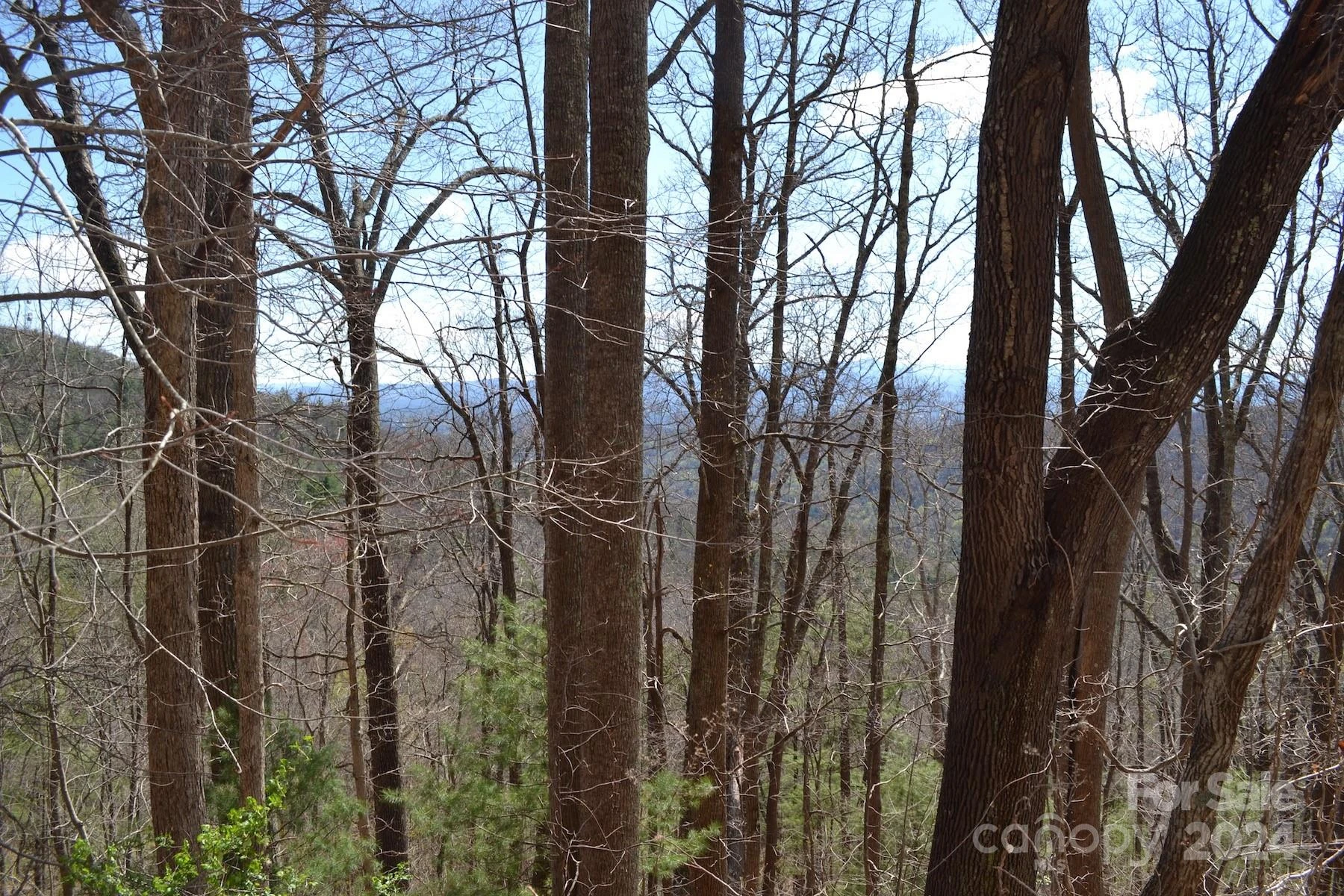 Lot 8 Town Mountain Road - Photo 4