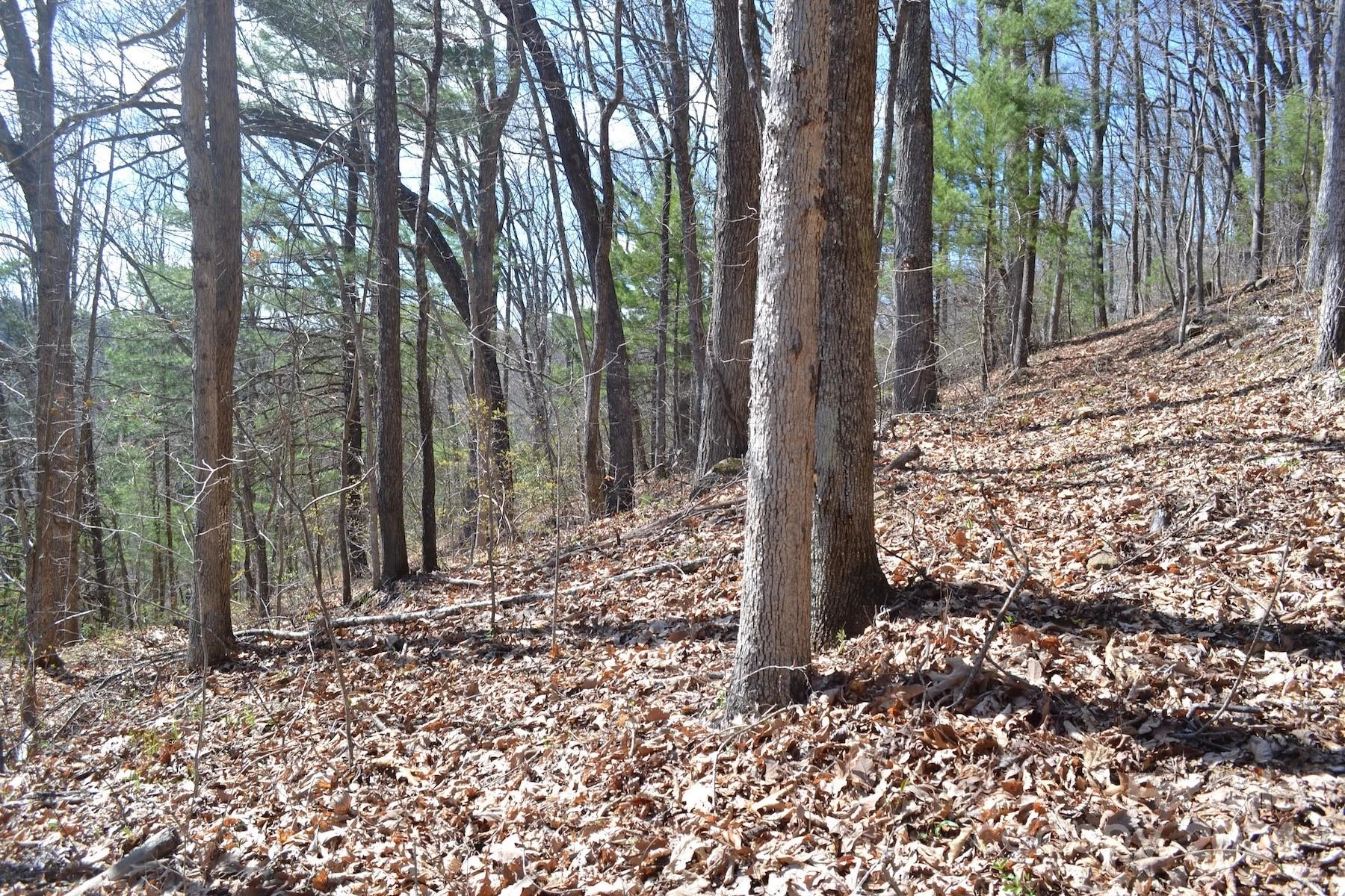 Lot 8 Town Mountain Road - Photo 7