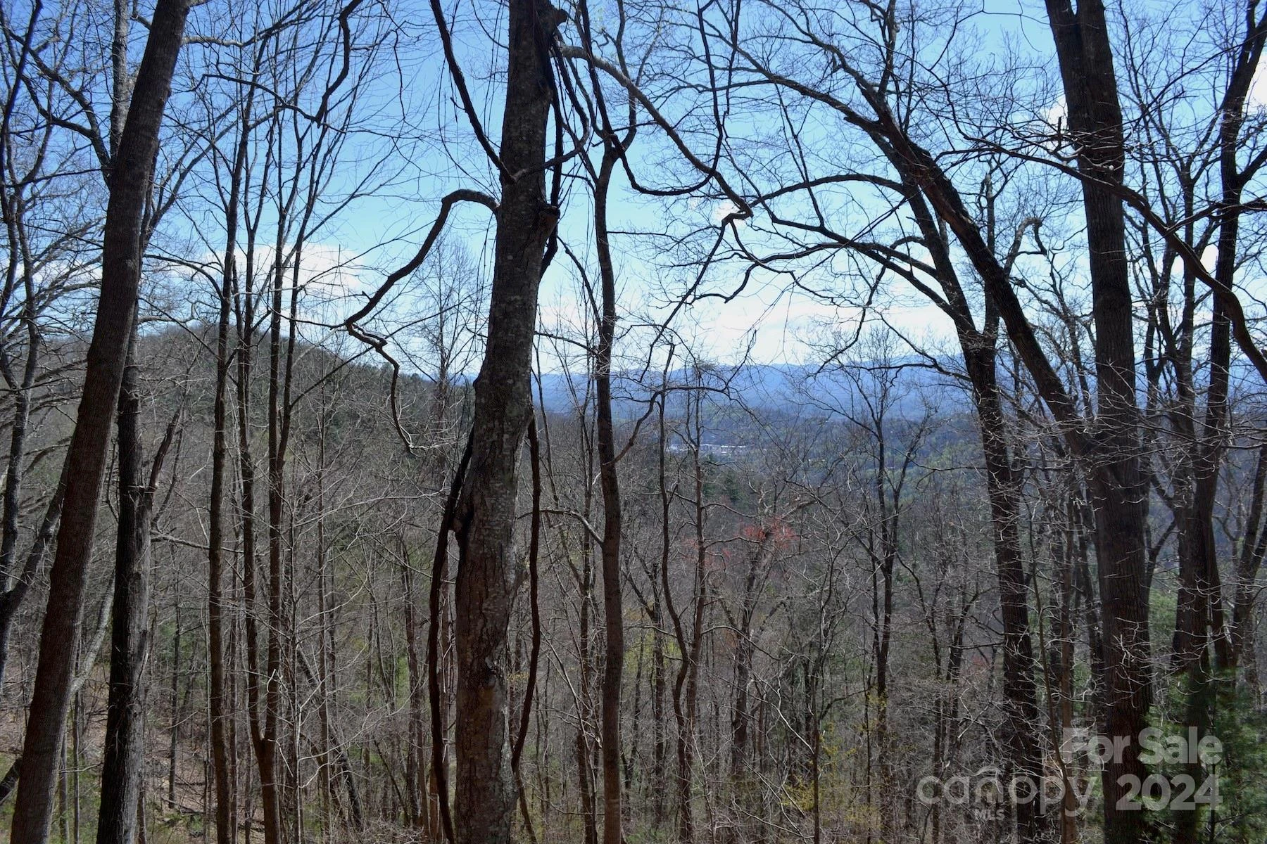 Lot 9 Town Mountain Road