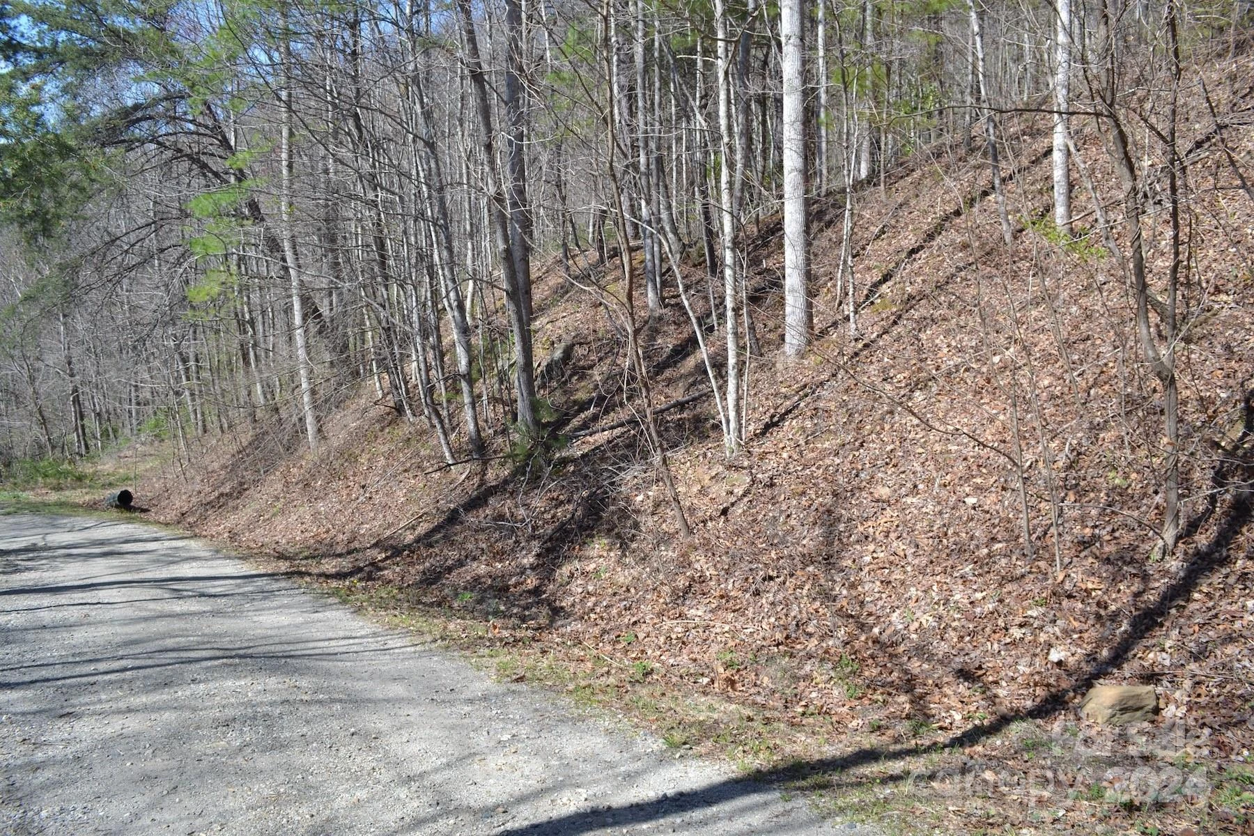 Lot 9 Town Mountain Road - Photo 7