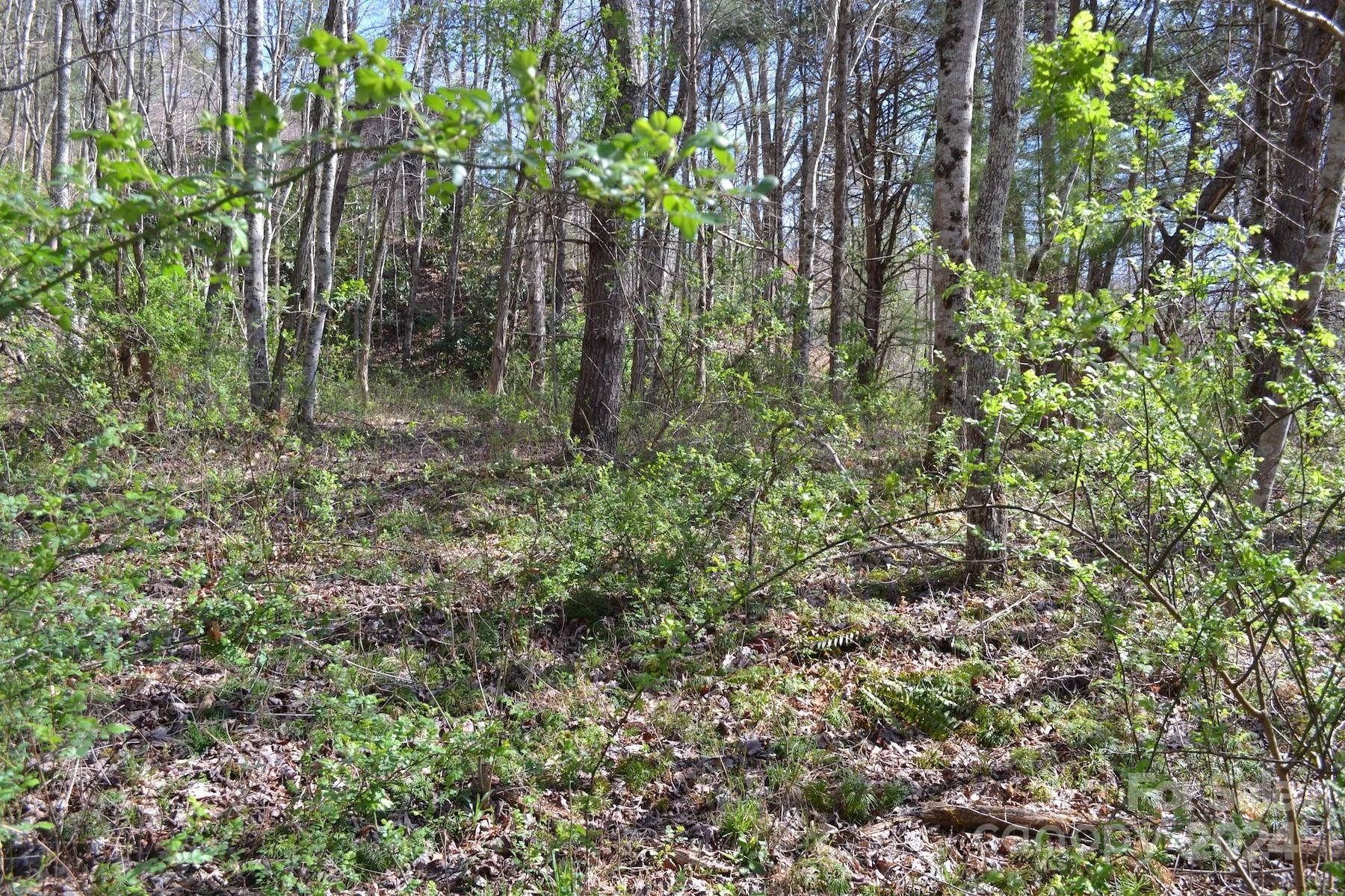 Lot 9 Town Mountain Road - Photo 10