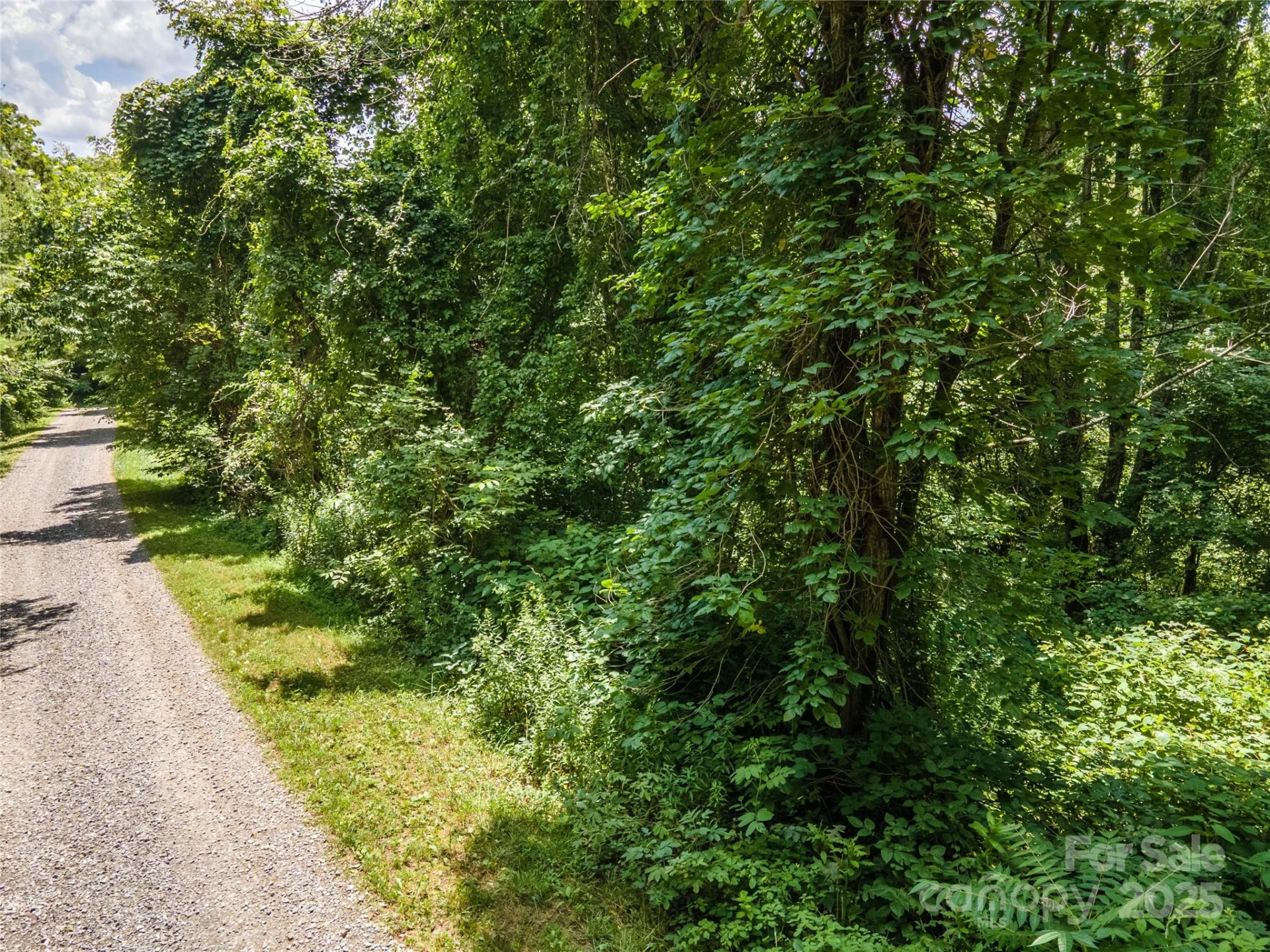 00 Troutman Trail