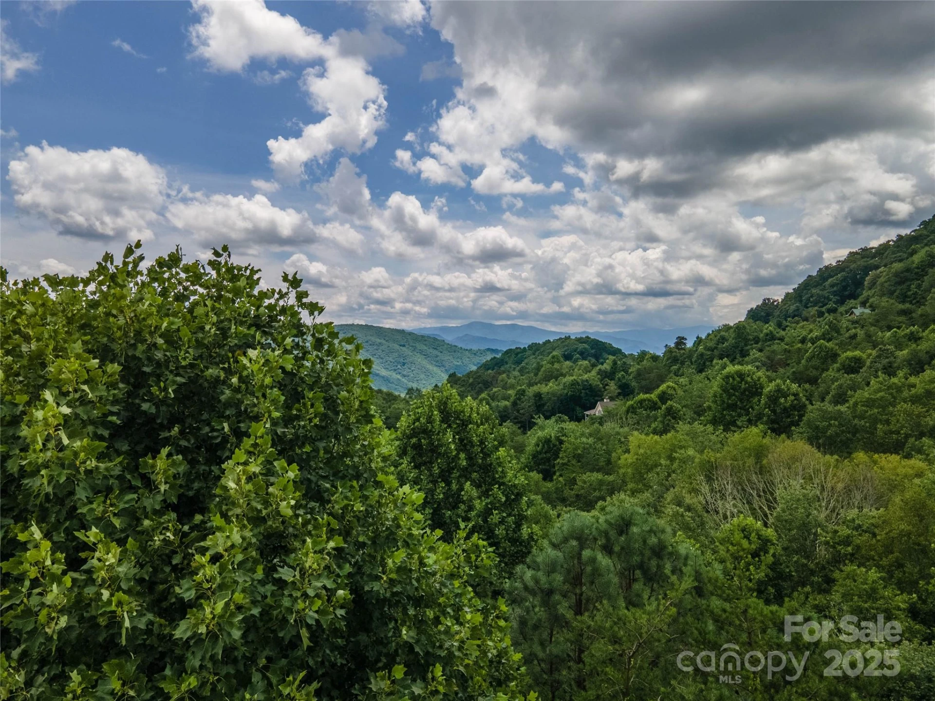 00 Troutman Trail - Photo 11