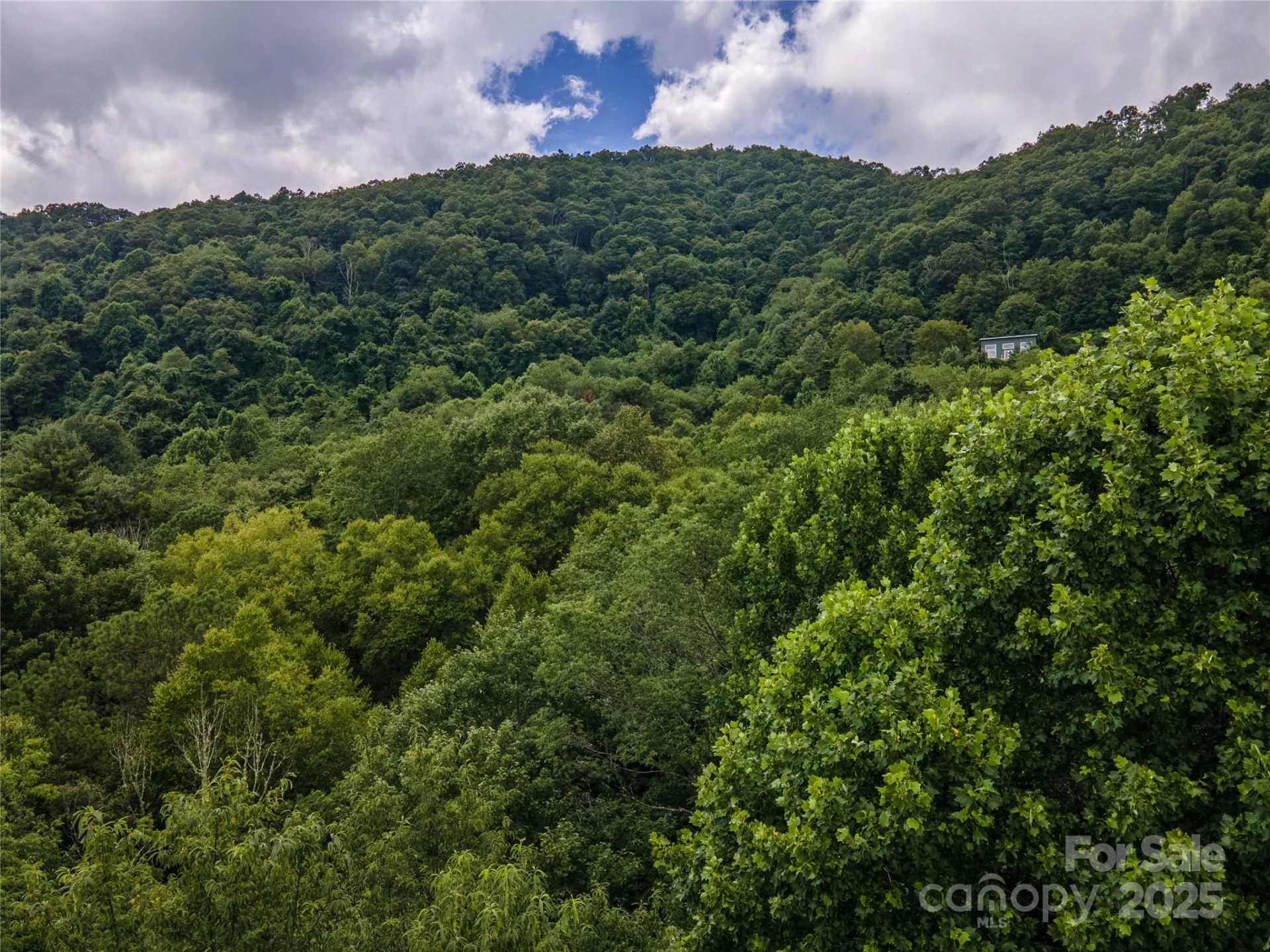 00 Troutman Trail - Photo 10