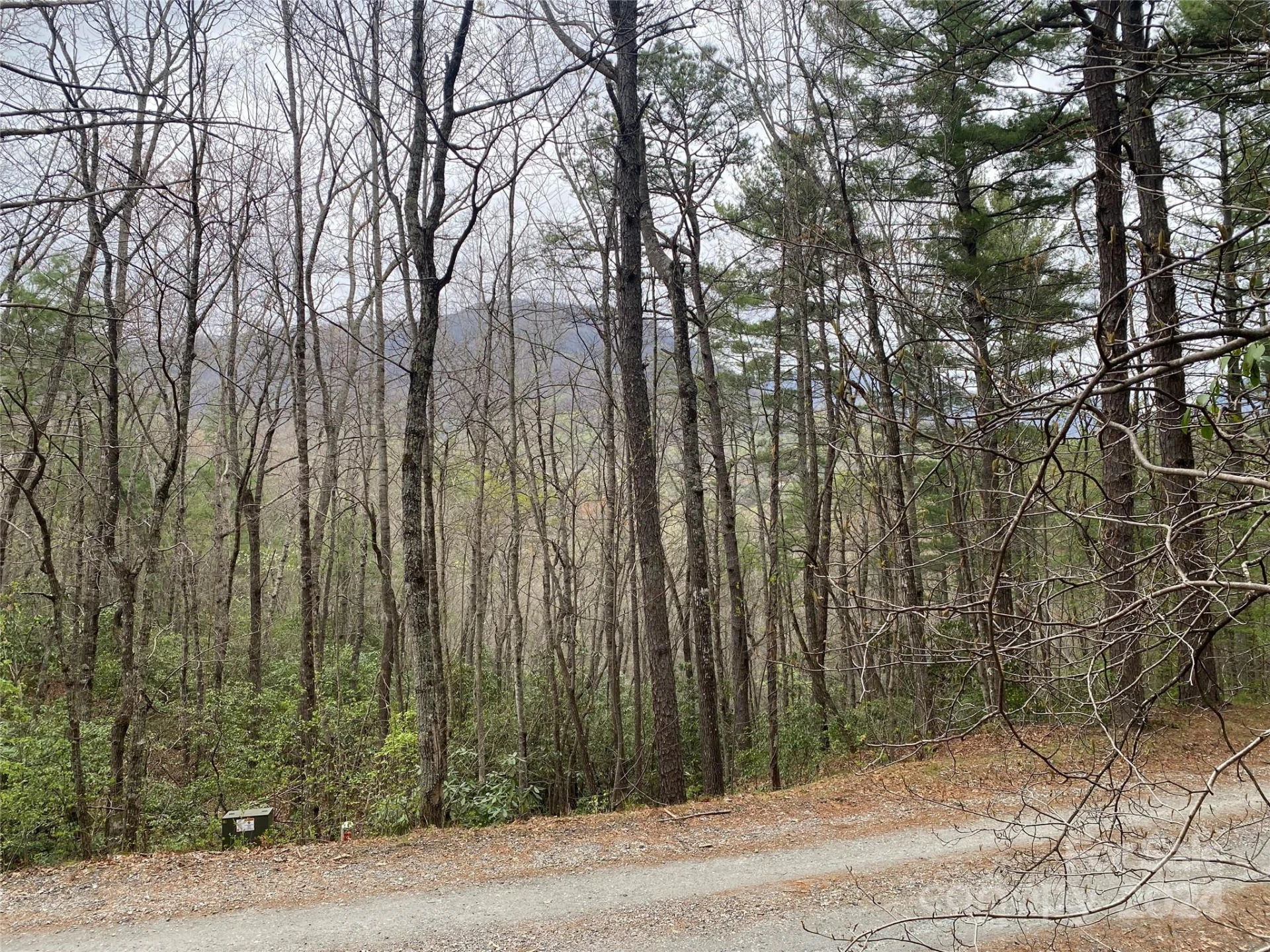 Lot 11 Fox Ridge Trail - Photo 6