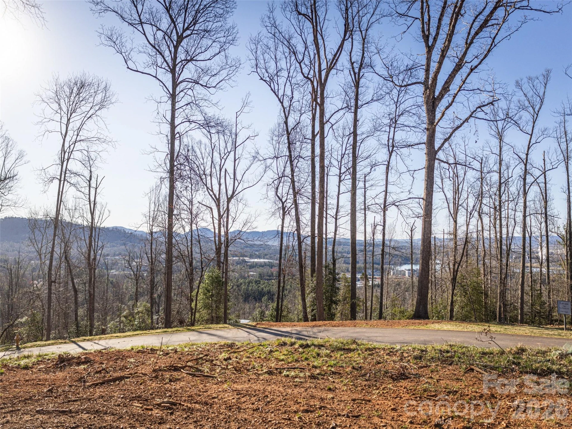 735 Tea House Drive #910 - Photo 6