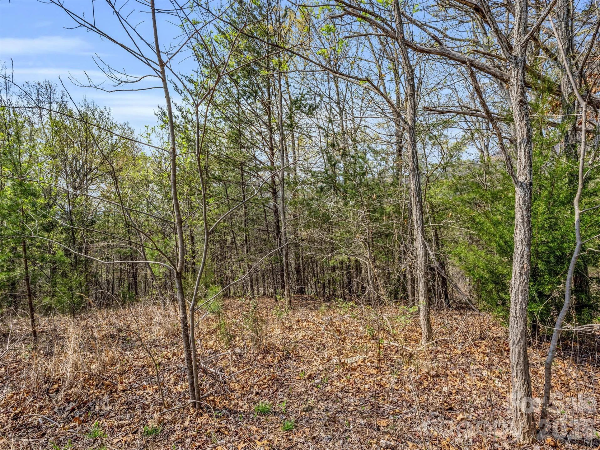 0 Chestertown Drive - Photo 13