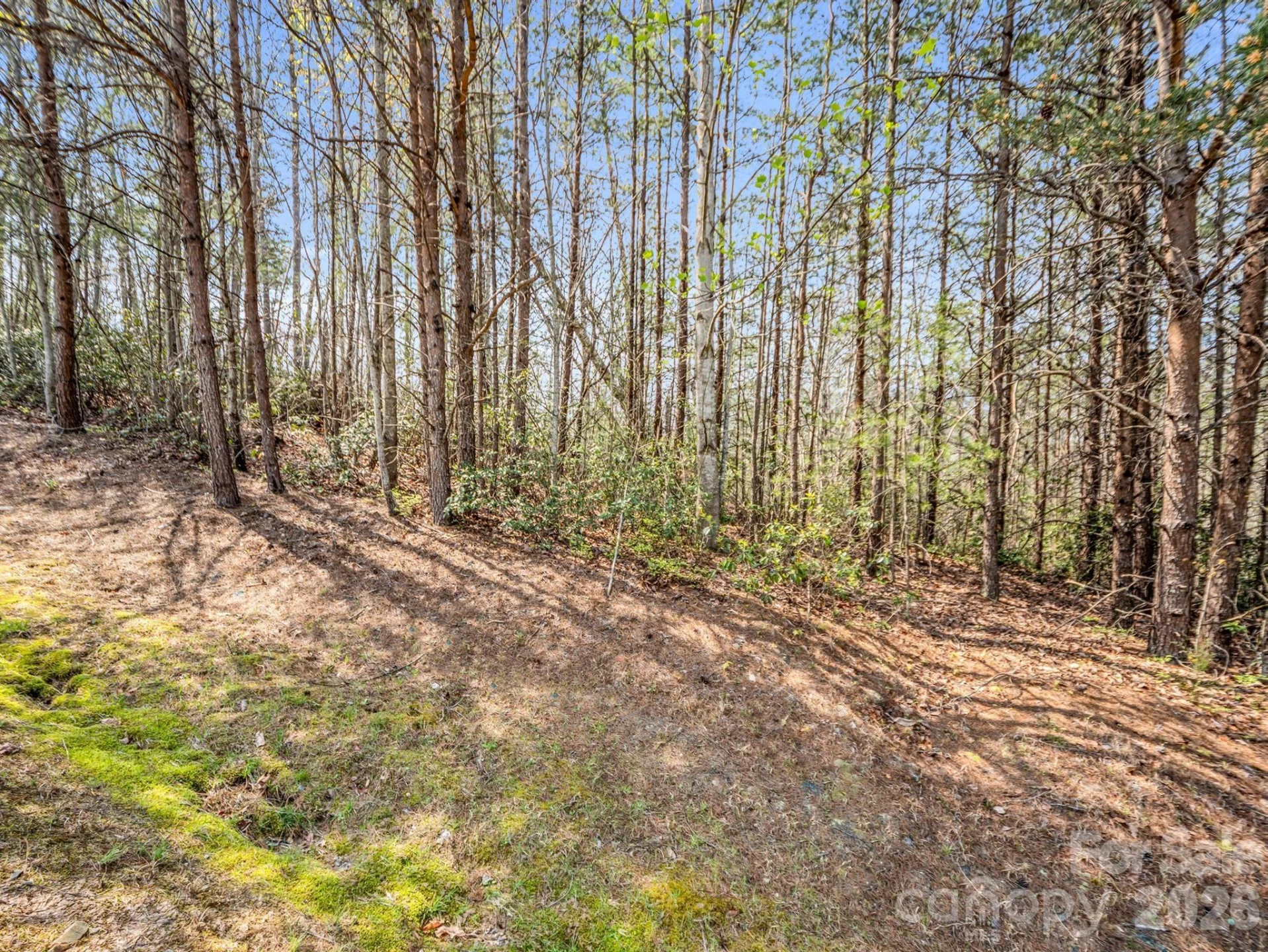 0 Chestertown Drive - Photo 15