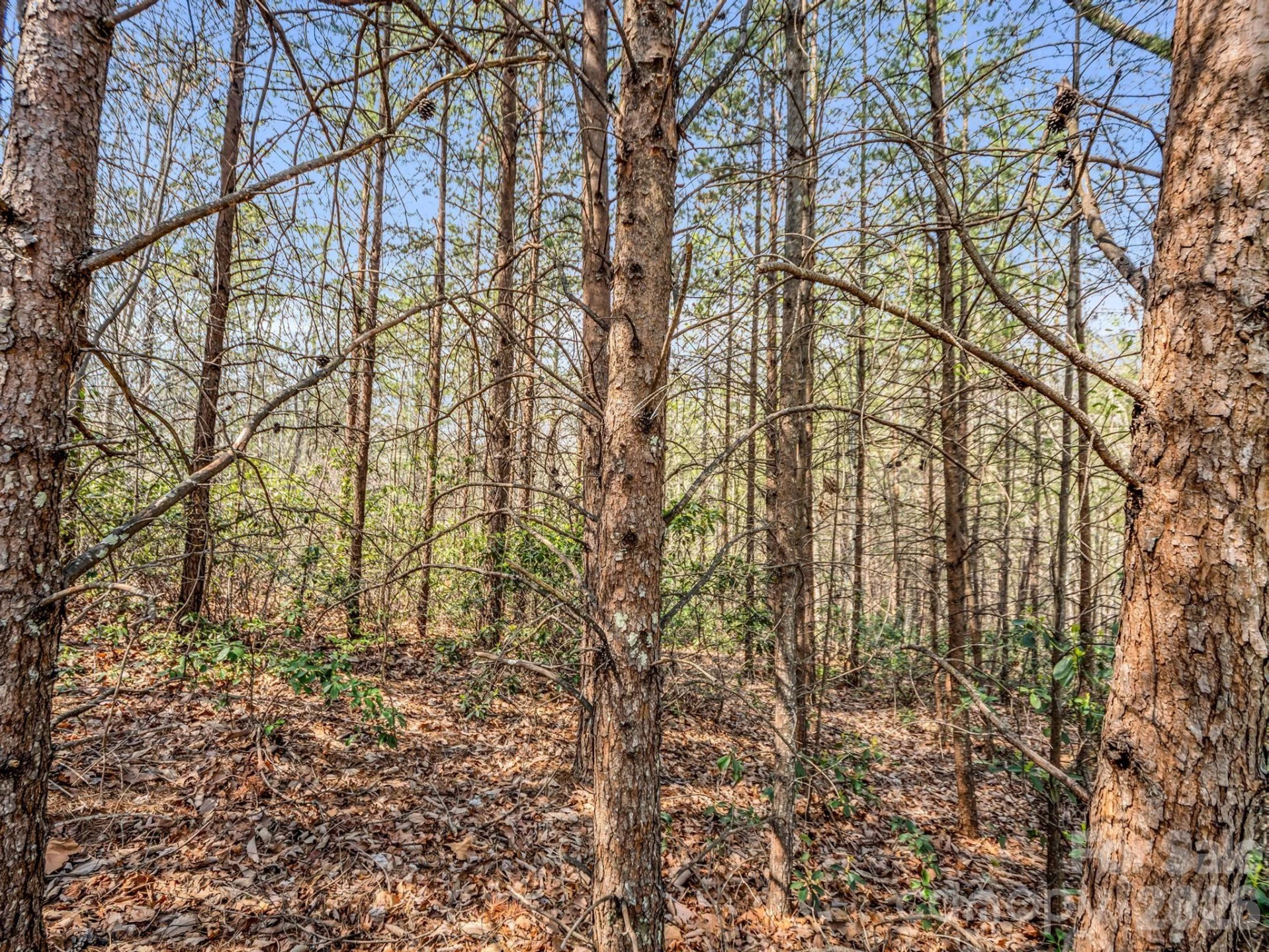 0 Chestertown Drive - Photo 17