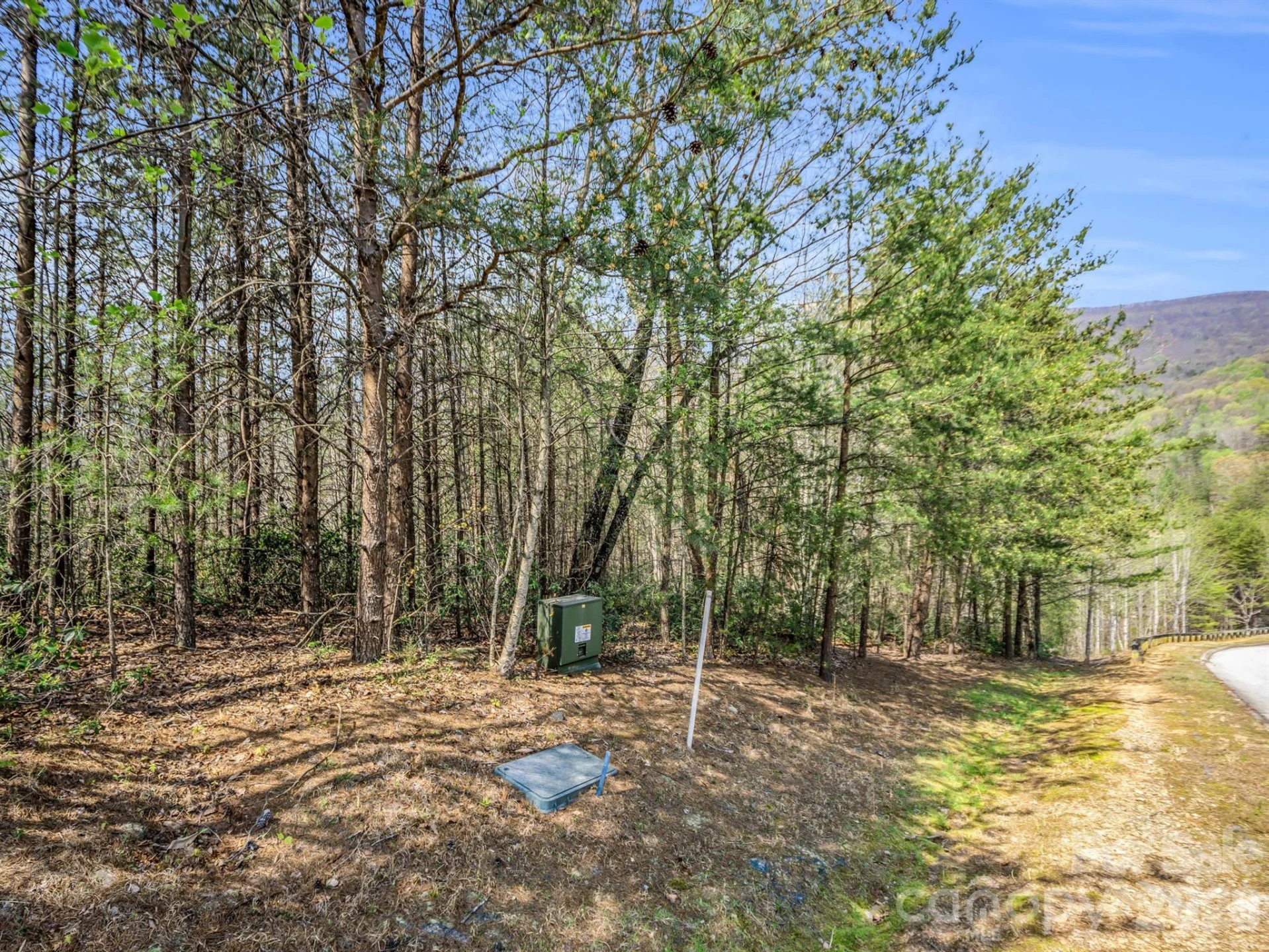 0 Chestertown Drive - Photo 19