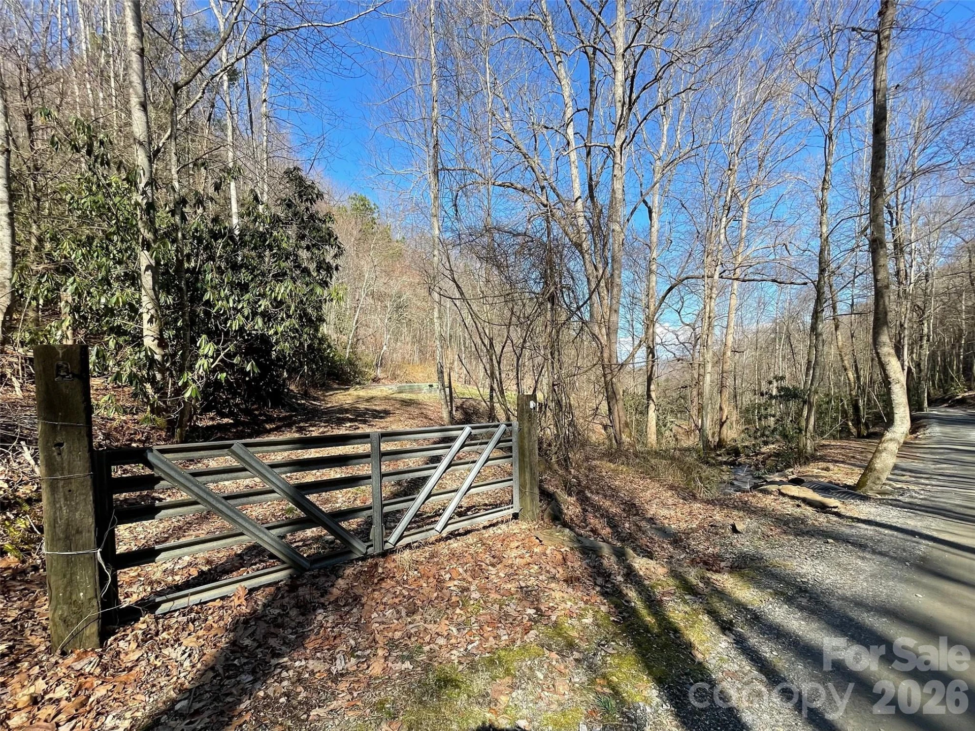 81 Peepeye Cove Road - Photo 4