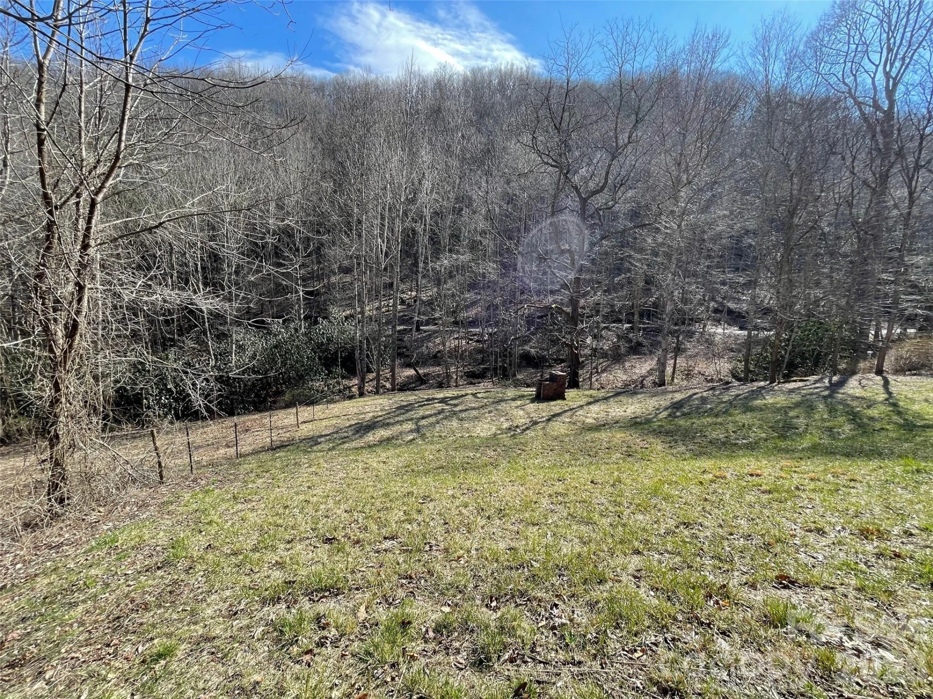 81 Peepeye Cove Road - Photo 8