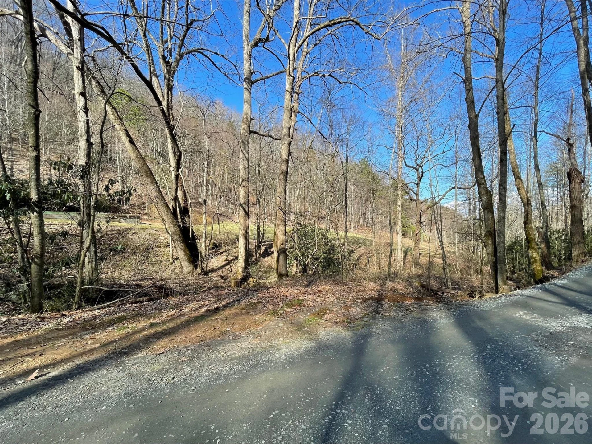 81 Peepeye Cove Road - Photo 13