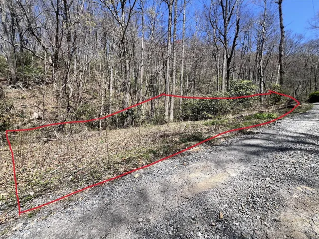 000 Pisgah Mountain Road, Canton, NC, 28716