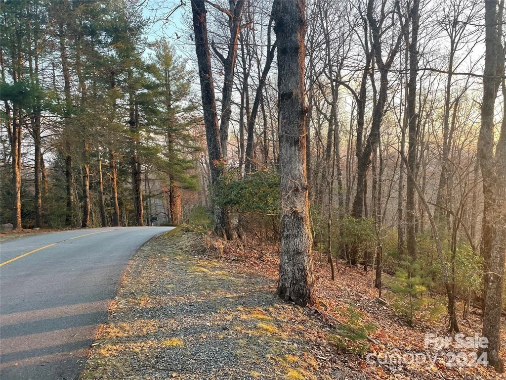 TBD Connestee Trail - Photo 2