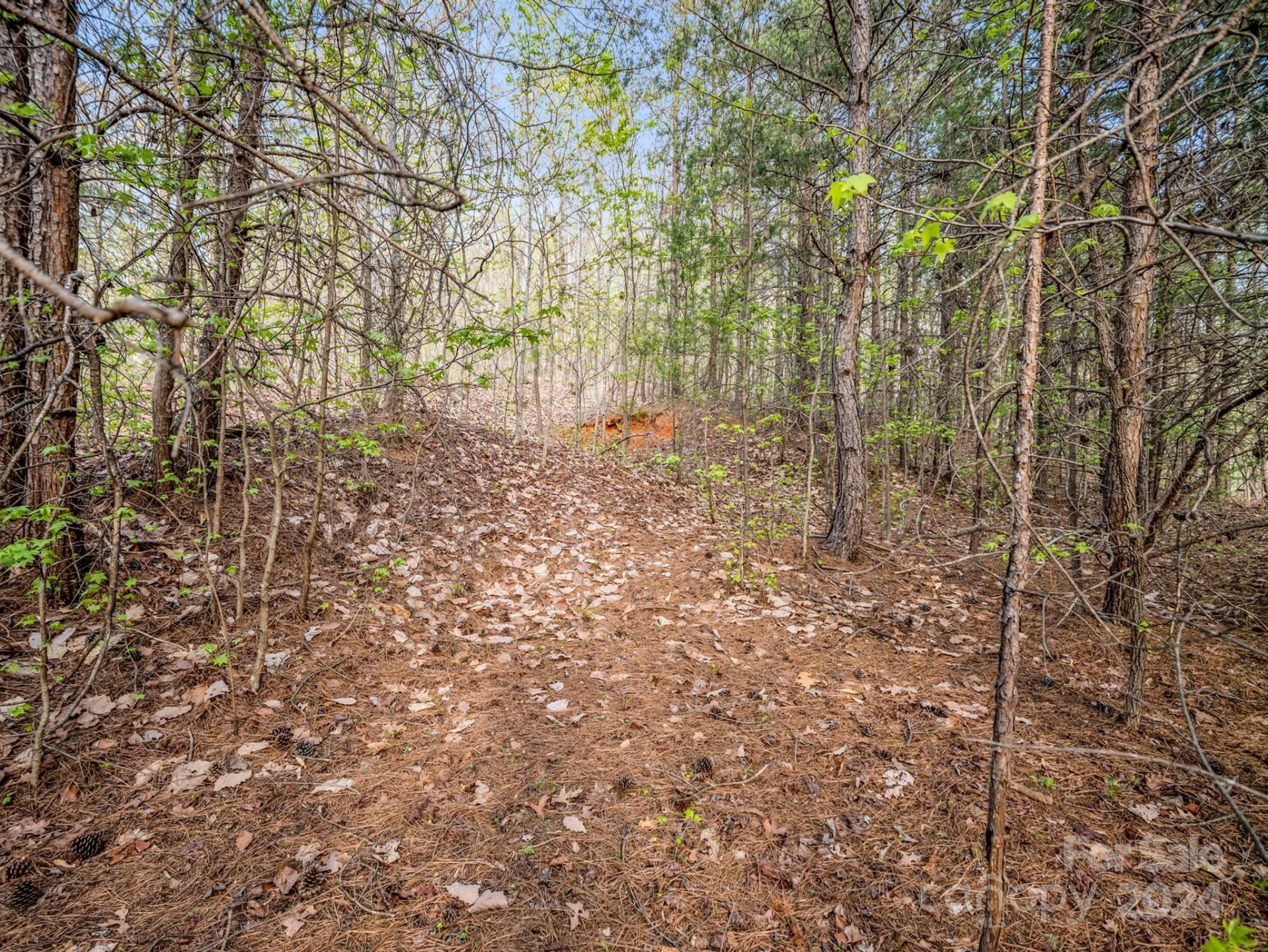 00 Equestrian Drive - Photo 17
