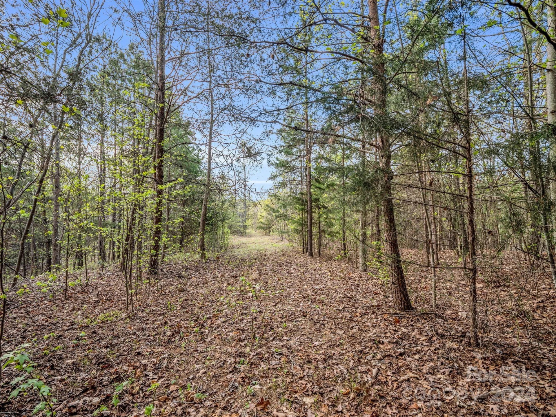 00 Equestrian Drive - Photo 19