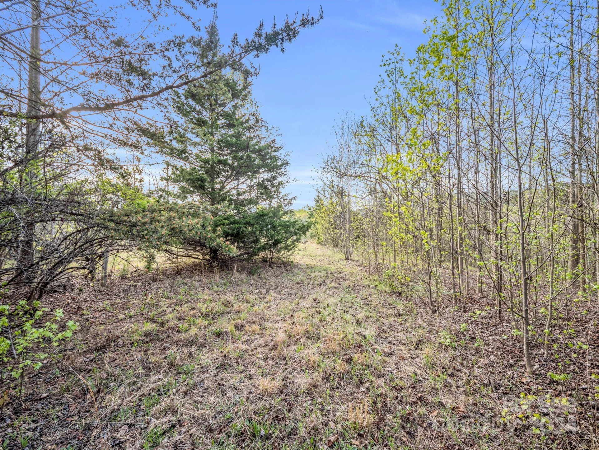 00 Equestrian Drive - Photo 5