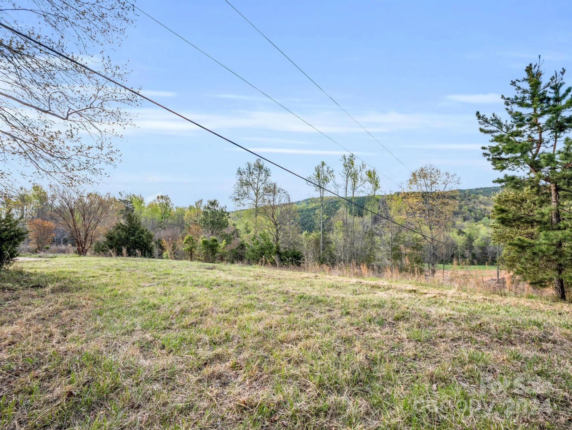 00 Equestrian Drive - Photo 6