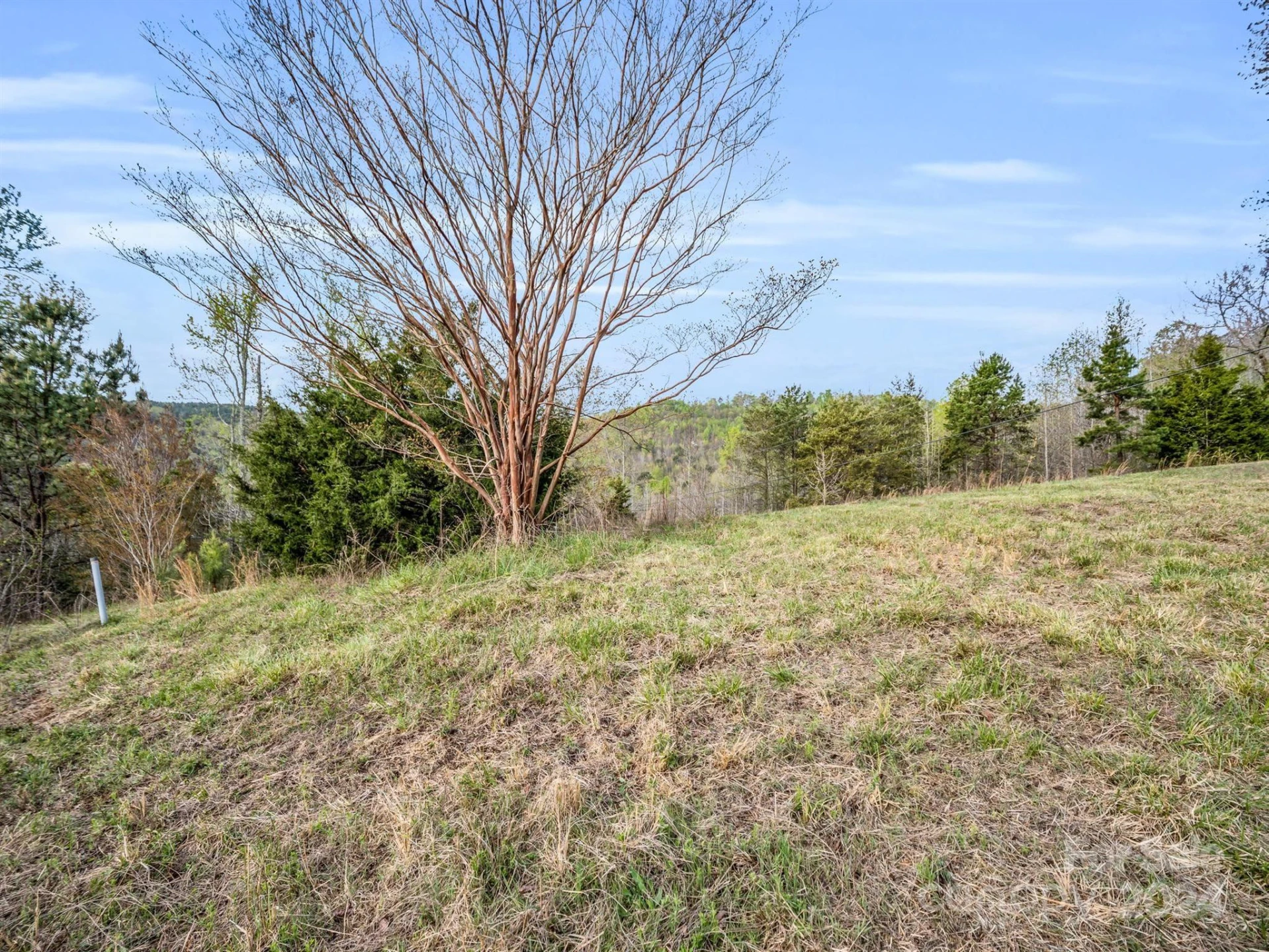 00 Equestrian Drive - Photo 7