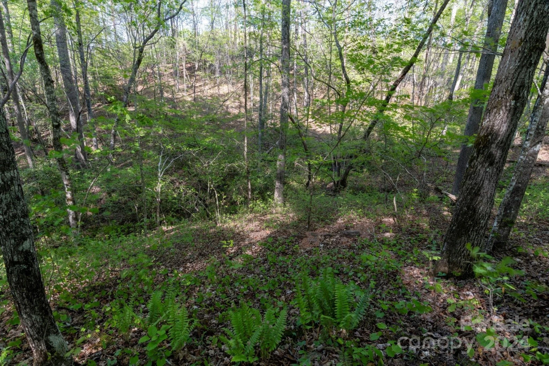 99999 Shady Bark Lane #41 - Photo 14