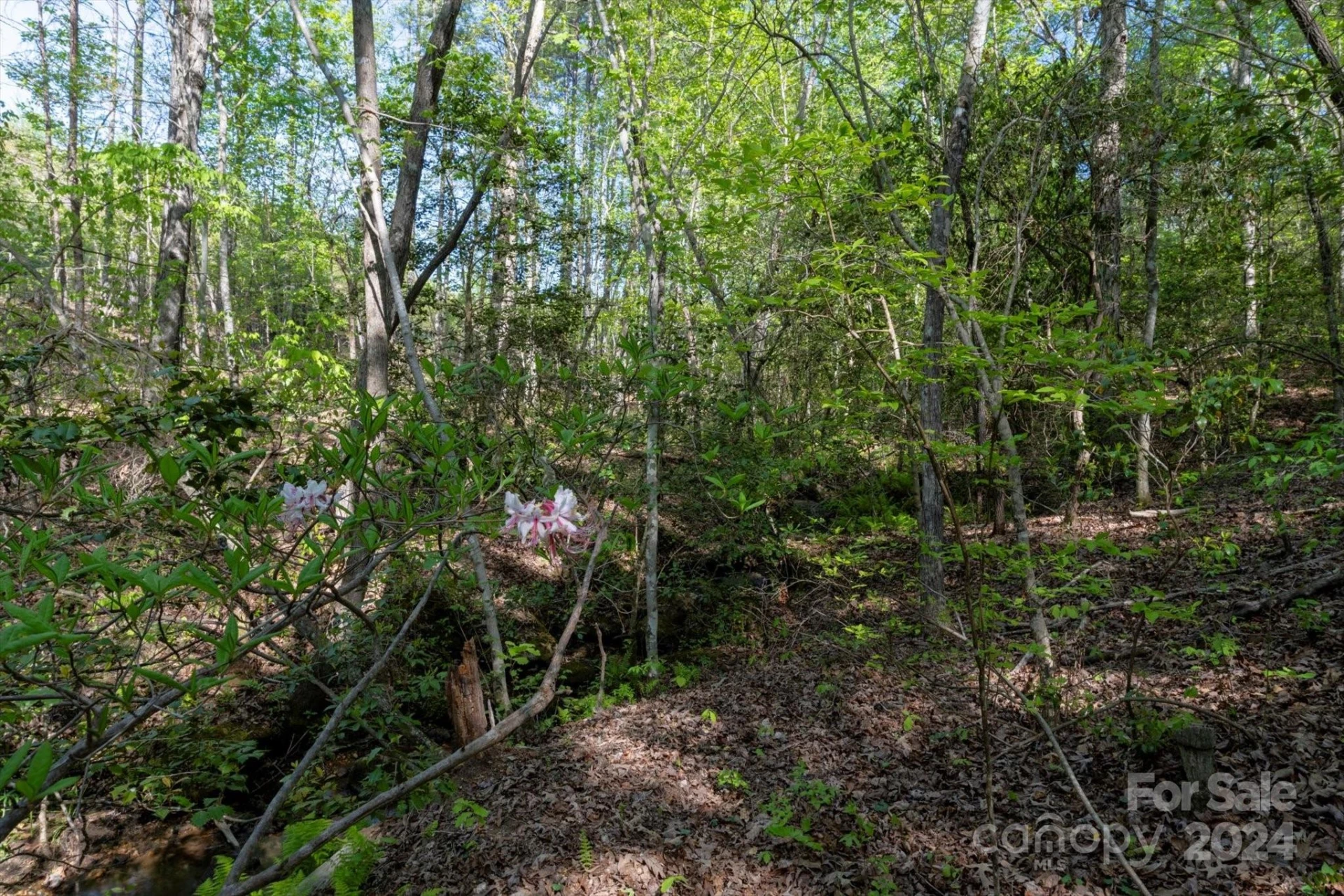 99999 Shady Bark Lane #41 - Photo 18