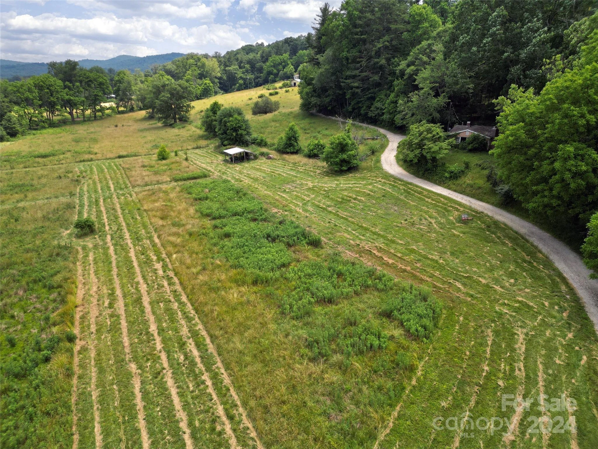273 & 133 Nicholson Lane - Photo 8