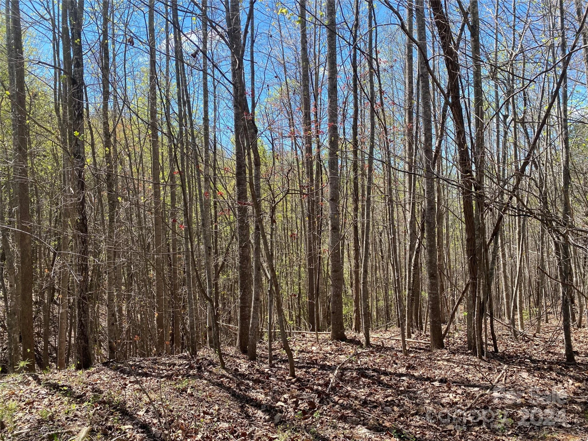 Lots 8,9 Wild Horse Drive - Photo 13