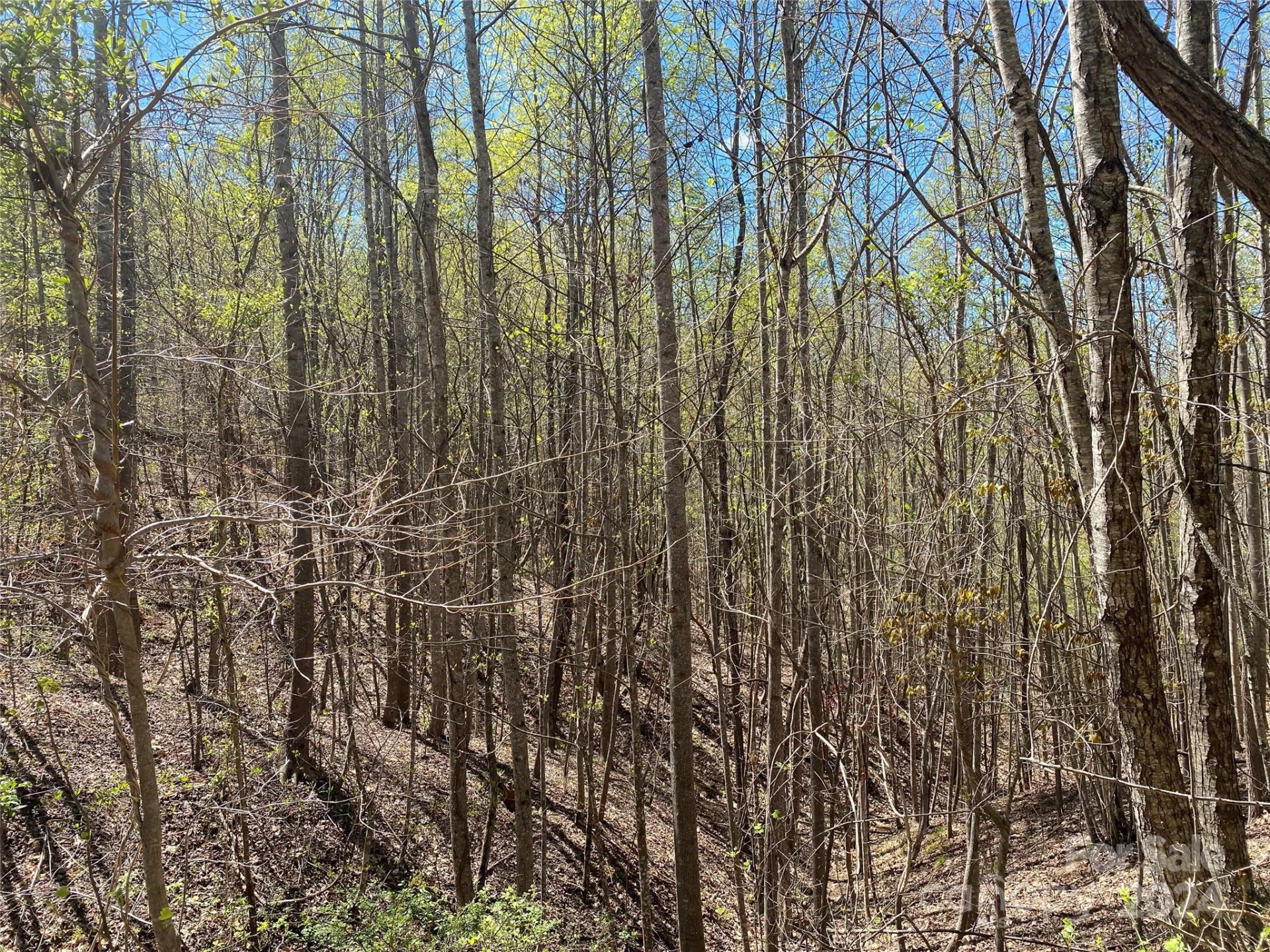 Lots 8,9 Wild Horse Drive - Photo 15