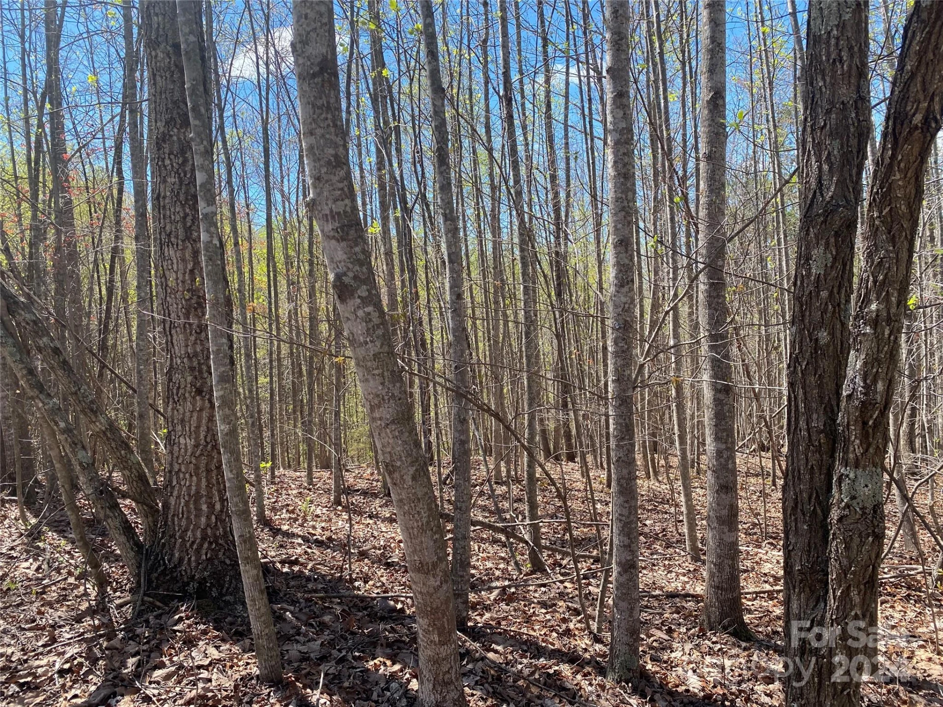 Lots 8,9 Wild Horse Drive - Photo 17