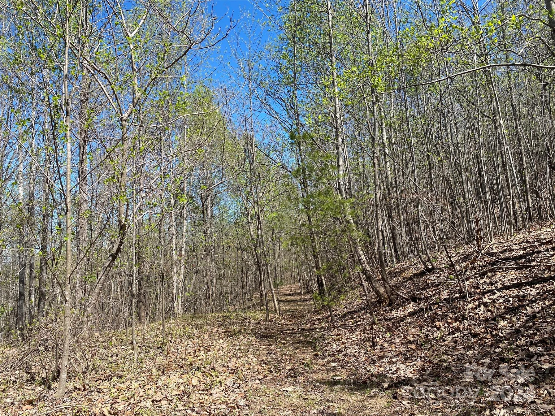 Lots 8,9 Wild Horse Drive - Photo 20