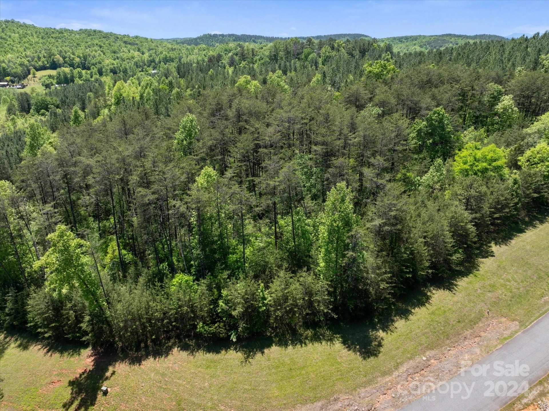 99999 Hickory Loop #2 - Photo 12