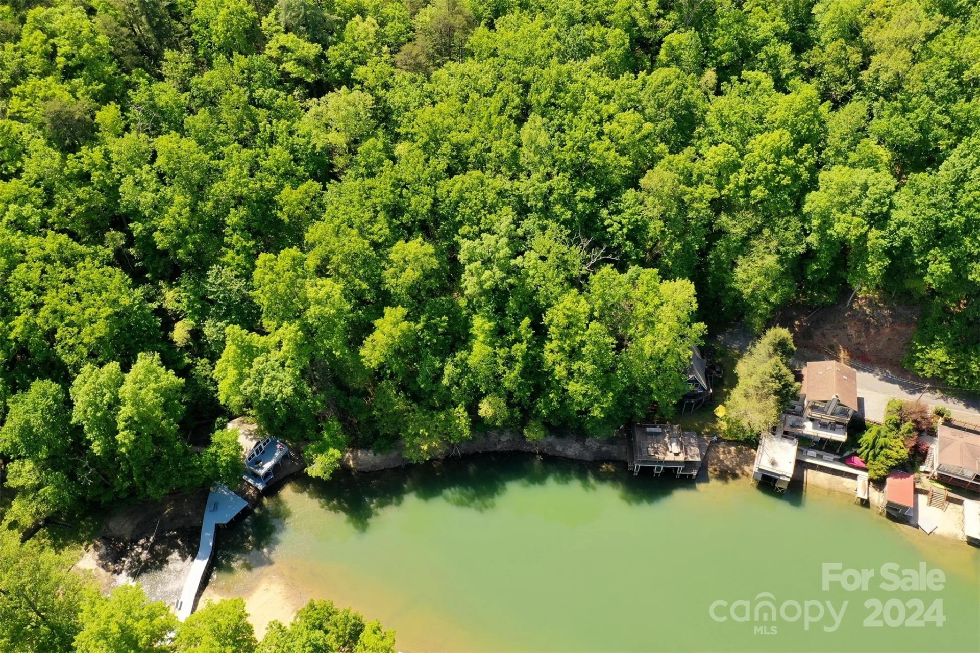 00 Buffalo Shoals Road - Photo 5