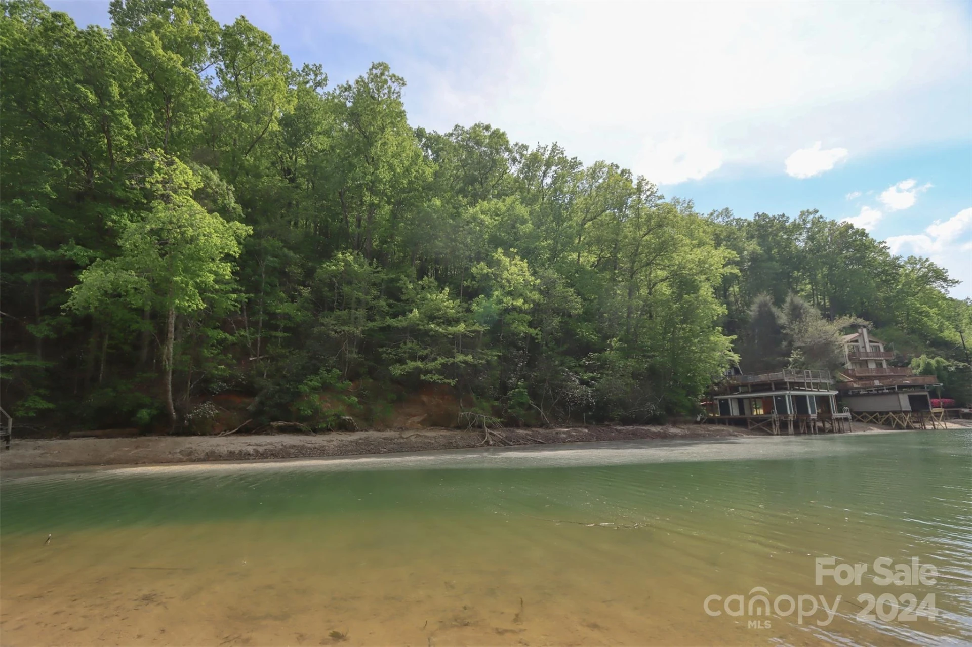 00 Buffalo Shoals Road - Photo 10