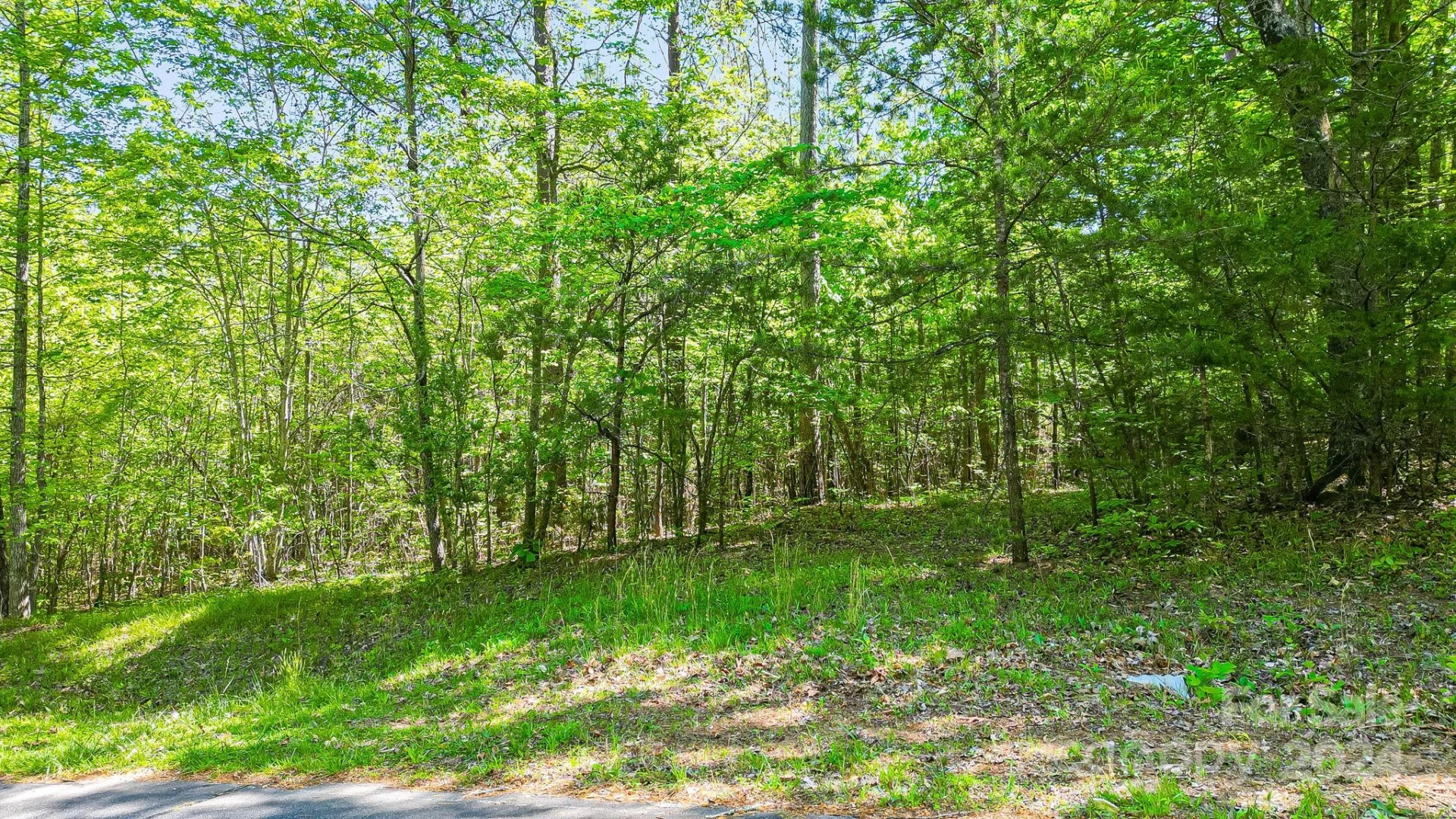 0 W T Wilkins Road #11 - Photo 2