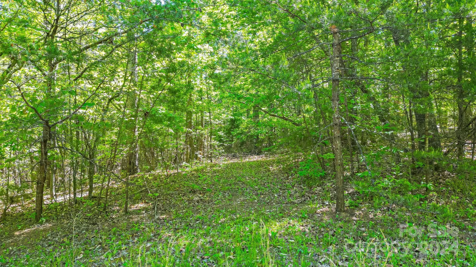 0 W T Wilkins Road #11 - Photo 3