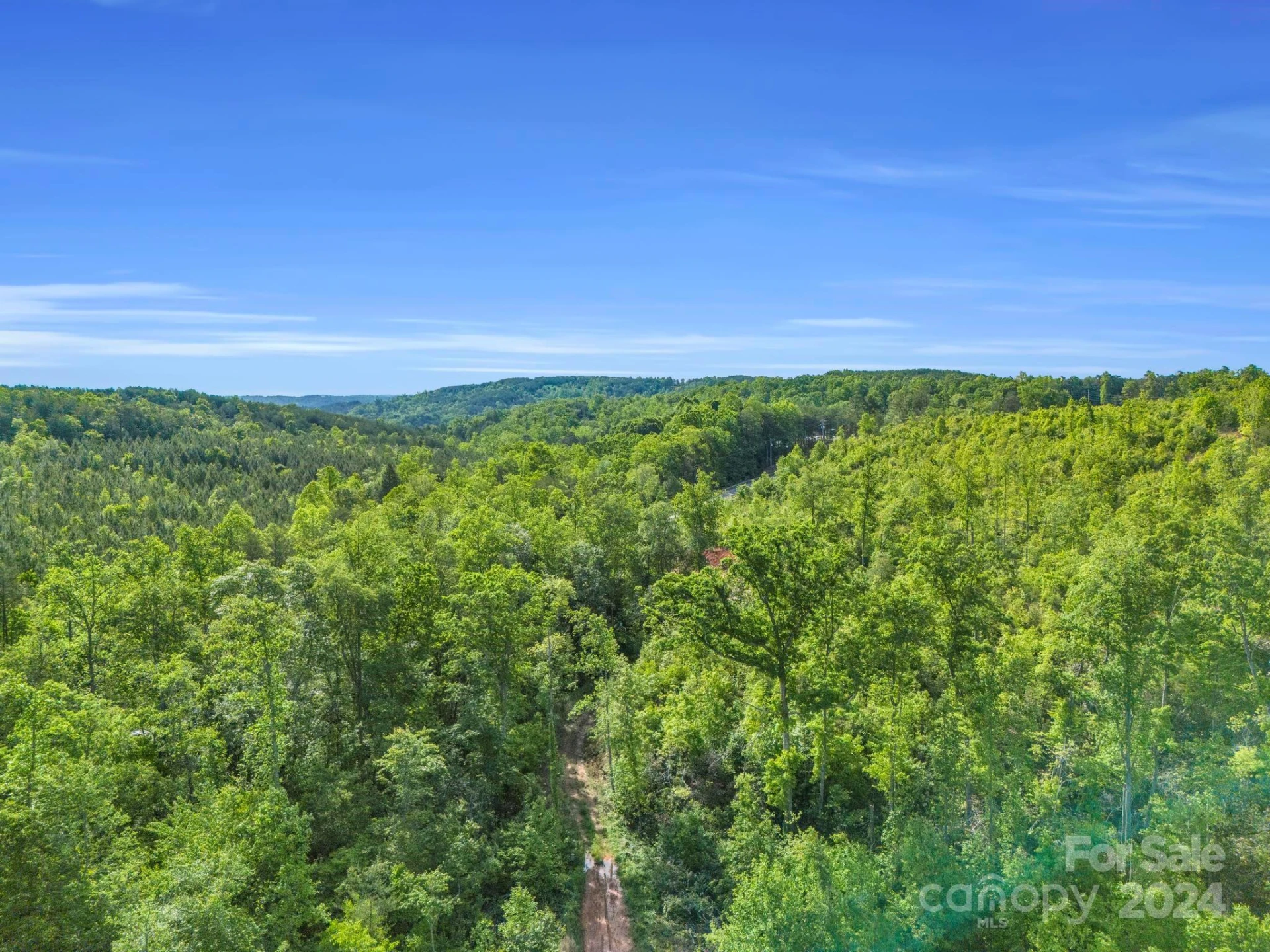 0 Bills Creek Road - Photo 3