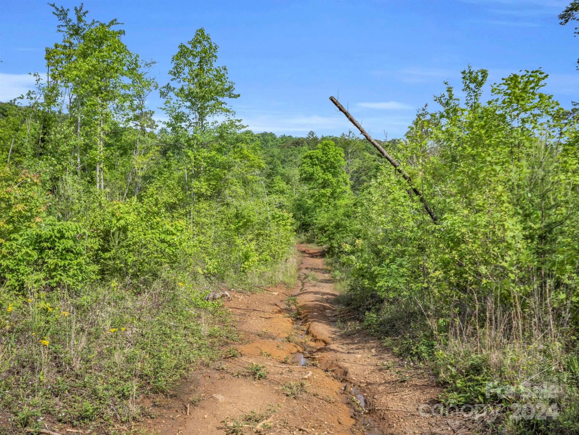 0 Bills Creek Road - Photo 23